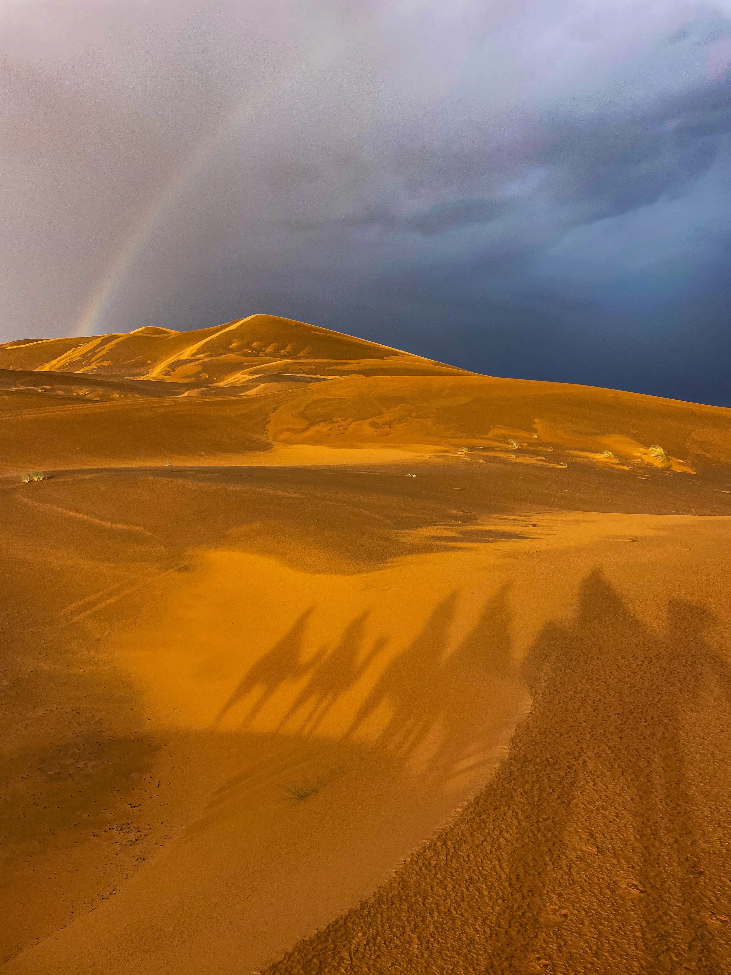 Sand dunes with shadows, a rainbow, and a dark cloudy sky in the background.
