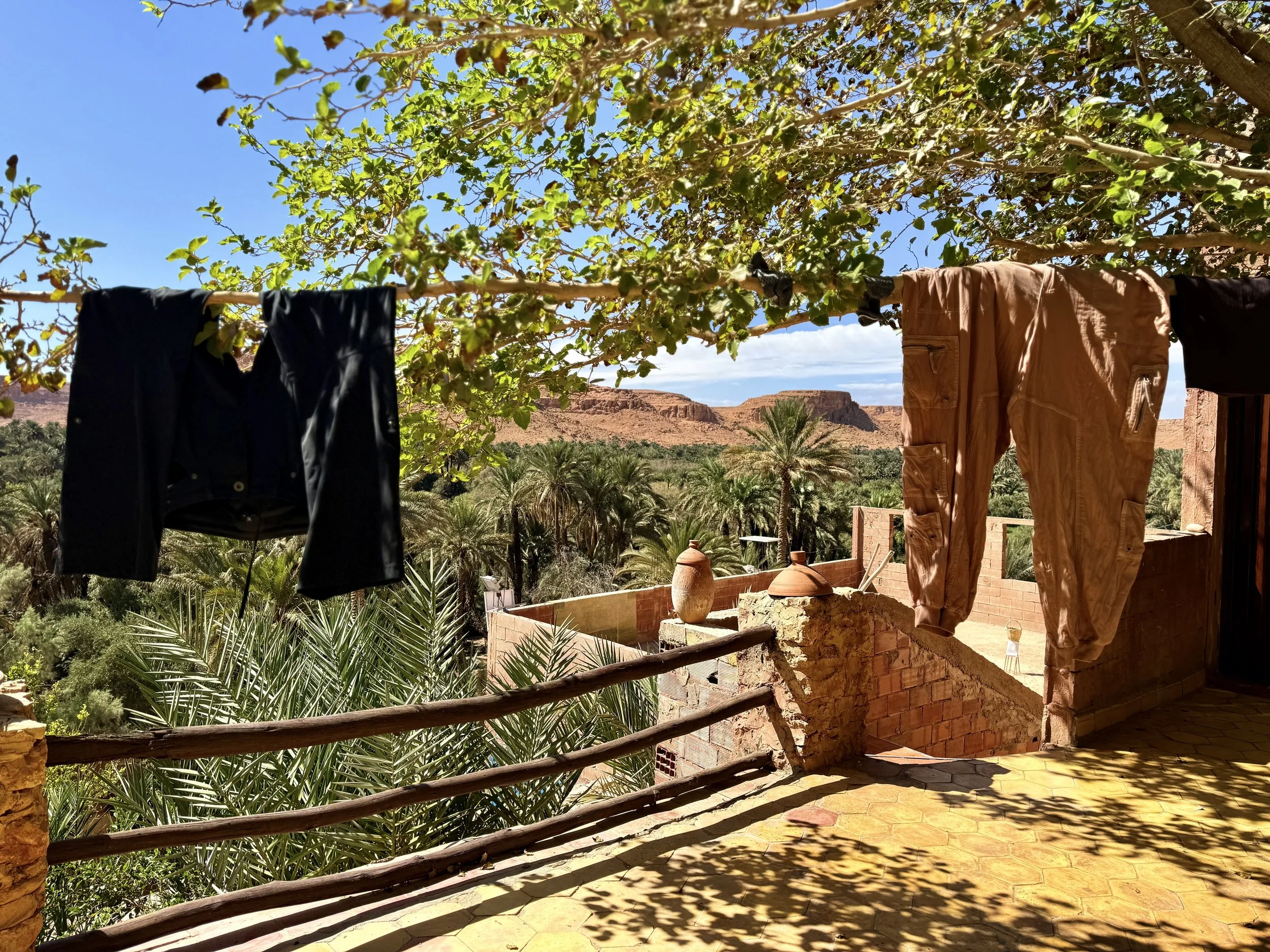morocco palm oasis laundry