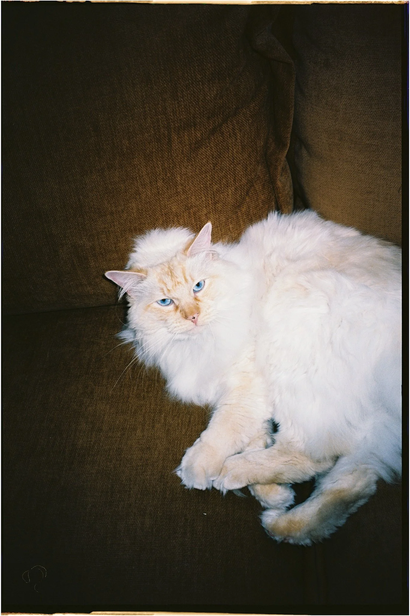 KatherineKennedy_Film_Web 24.jpg