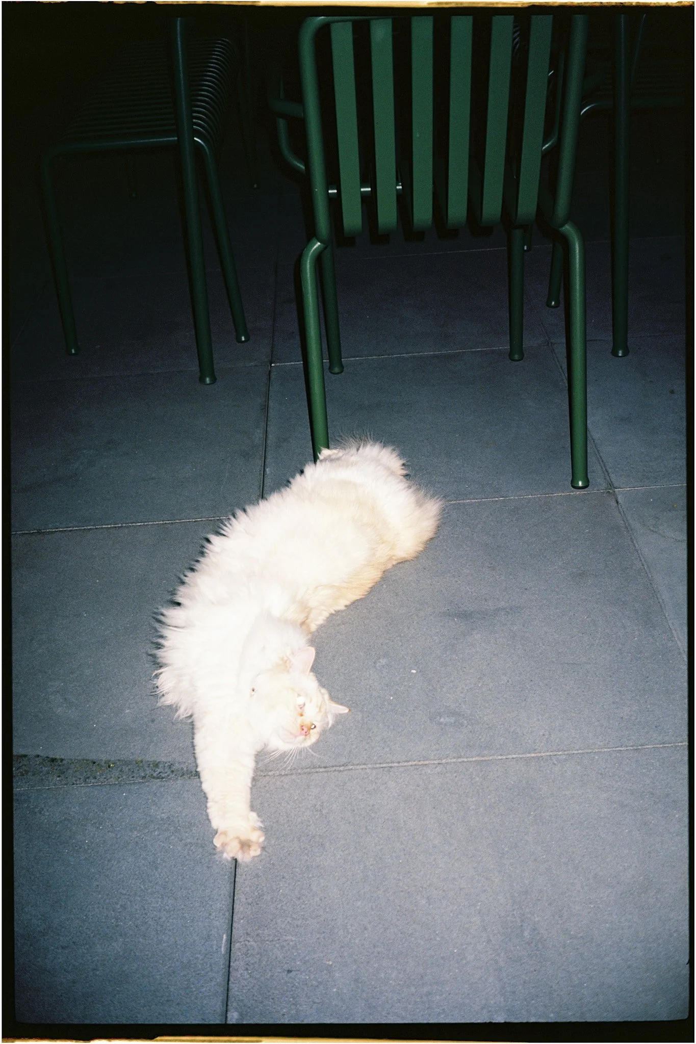 KatherineKennedy_Film_Web 4.jpg