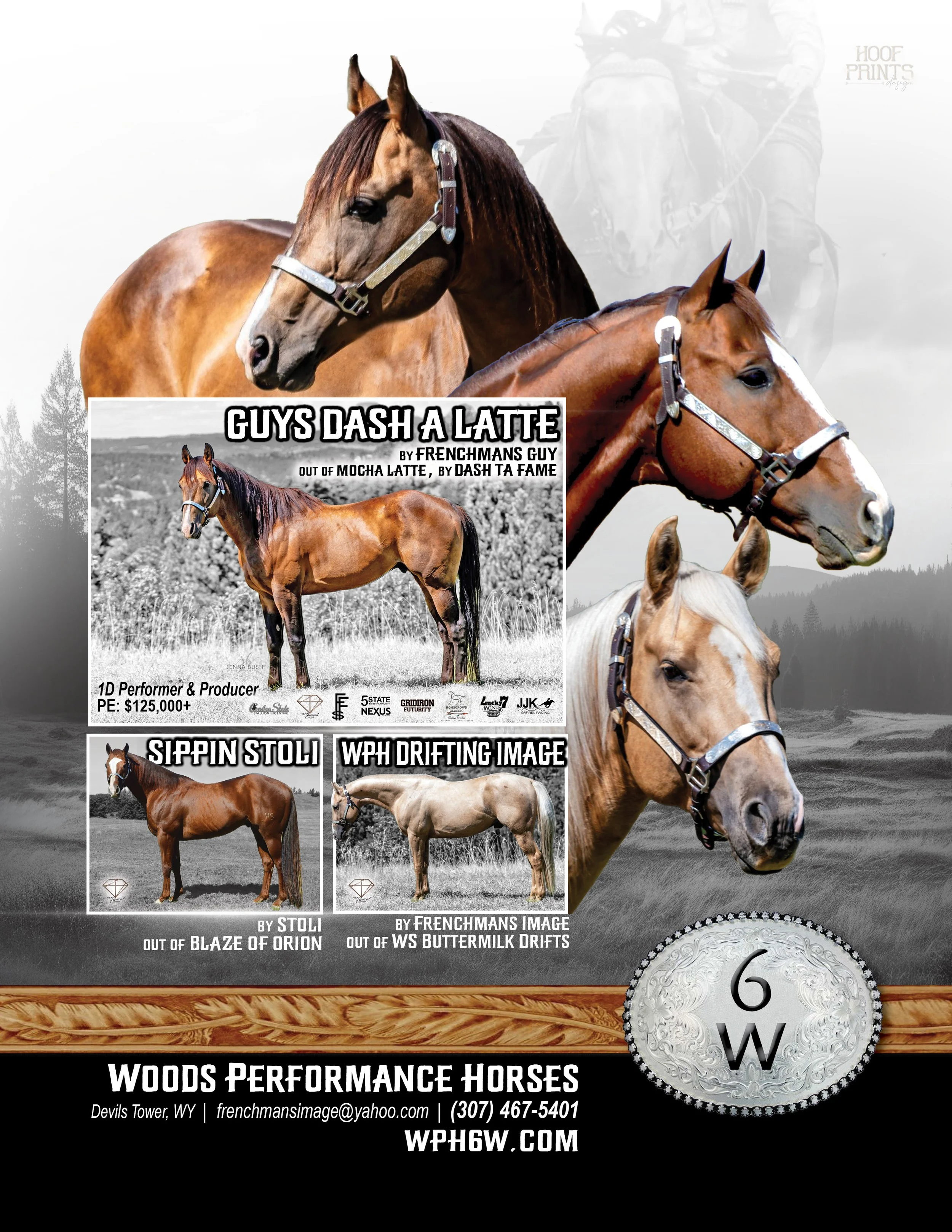 WoodsPerformanceHorses_StallionAd.jpg