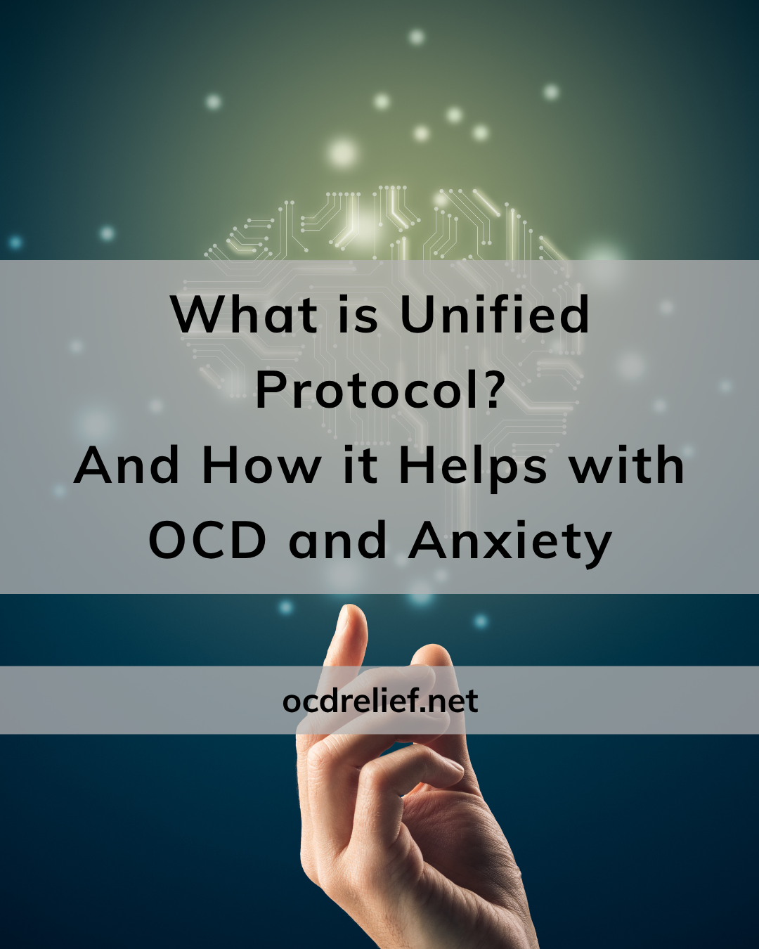 What is Unified Protocol? And How it Helps with OCD and Anxiety