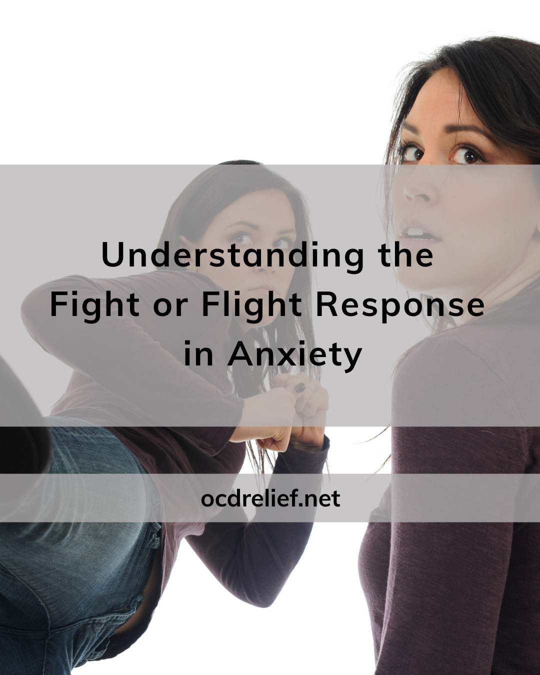 Understanding the Fight or Flight Response in Anxiety