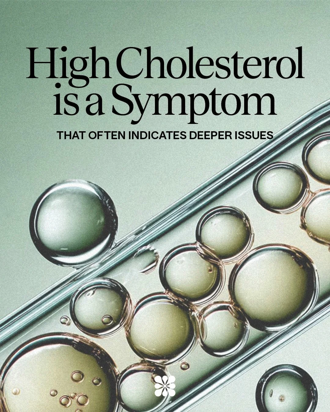 High cholesterol is often your body asking for support, not just a number to lower. 🫧🩺

When we understand the why behind it, we can move beyond quick fixes and focus on long-term heart, hormone, and cellular health. 🤍

.

Un taux de cholest&eacut