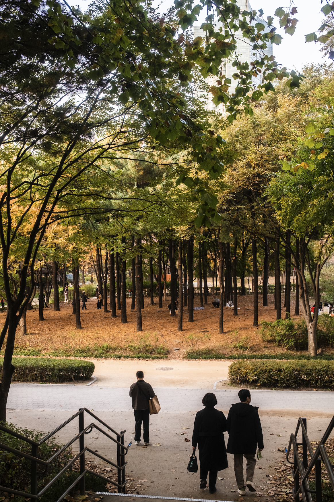 Screenshot 2025-12-27 at 12.21.05 AM.png