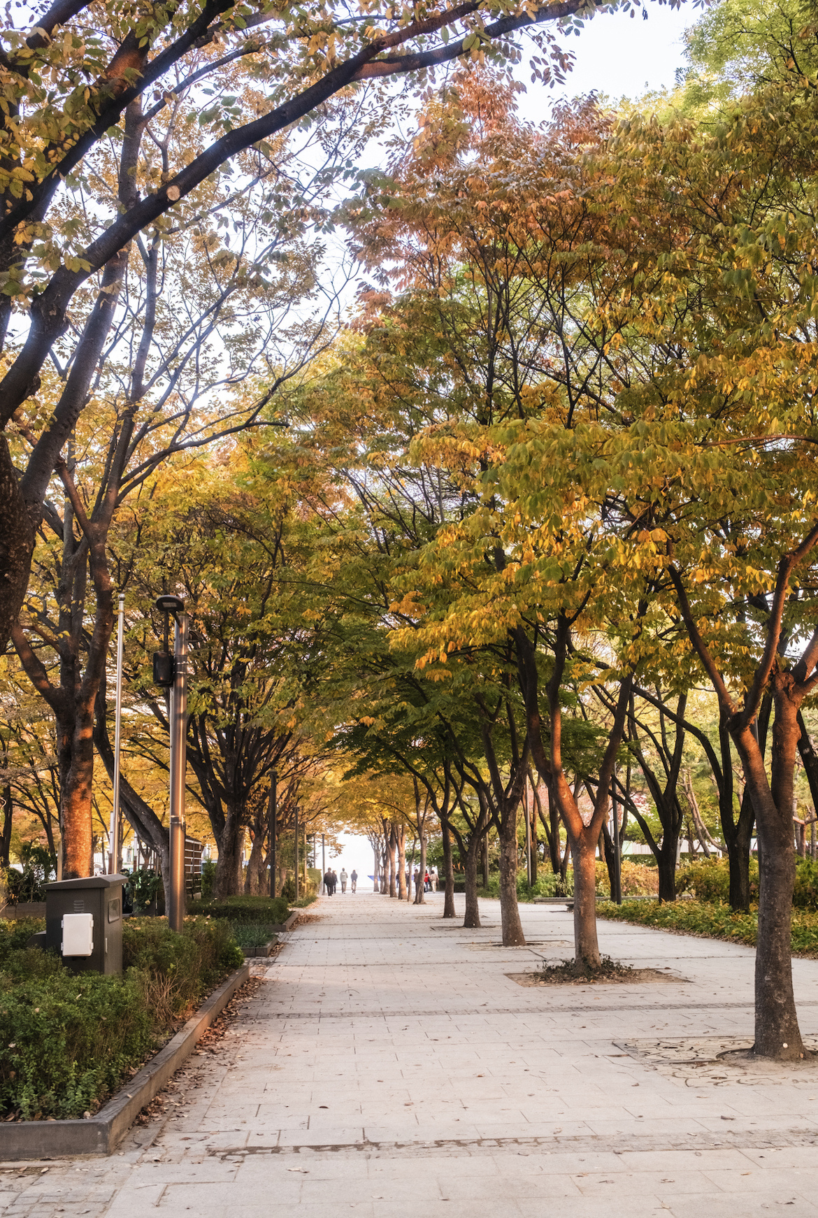 Screenshot 2025-12-27 at 12.20.31 AM.png