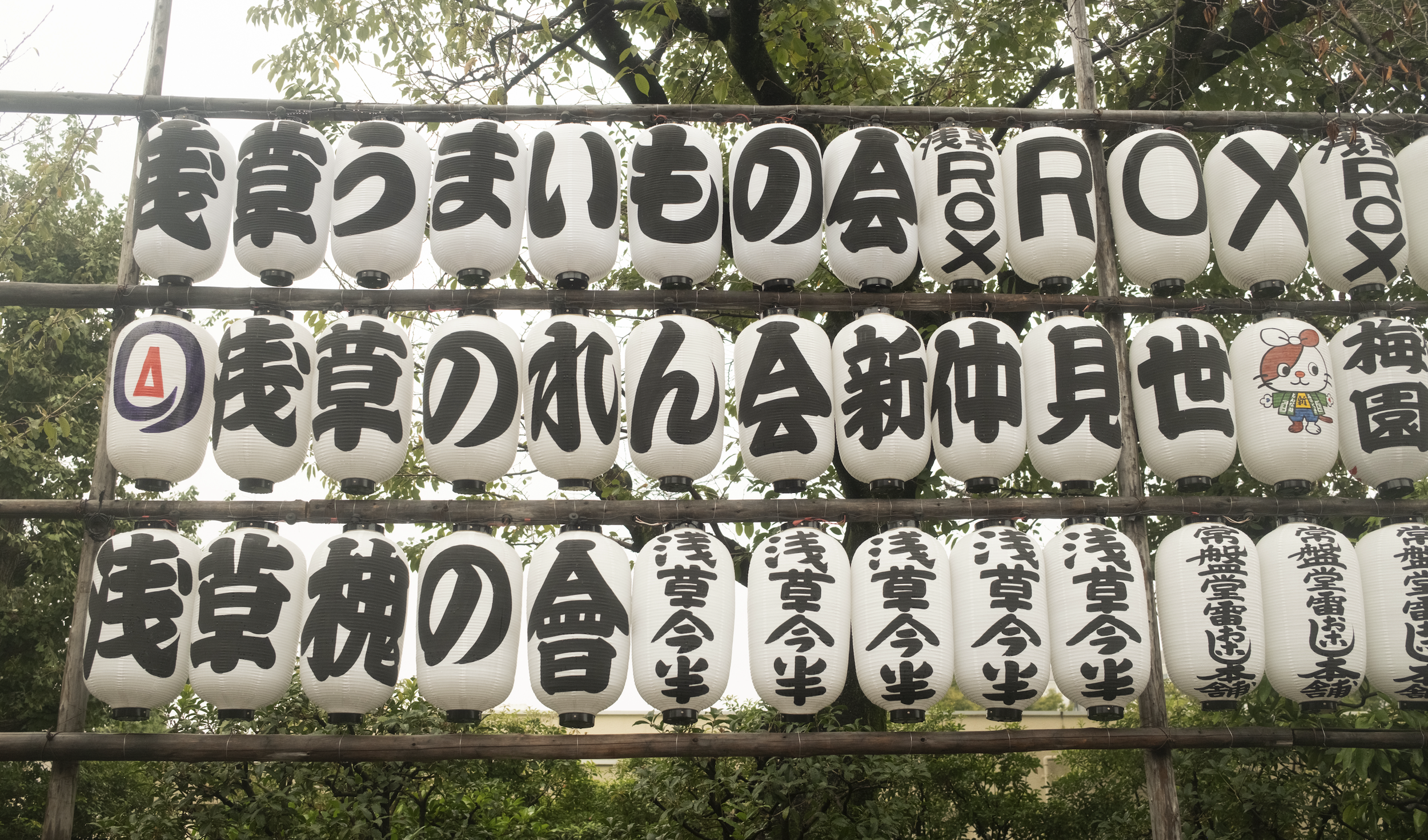 Screenshot 2025-12-26 at 12.31.25 PM.png