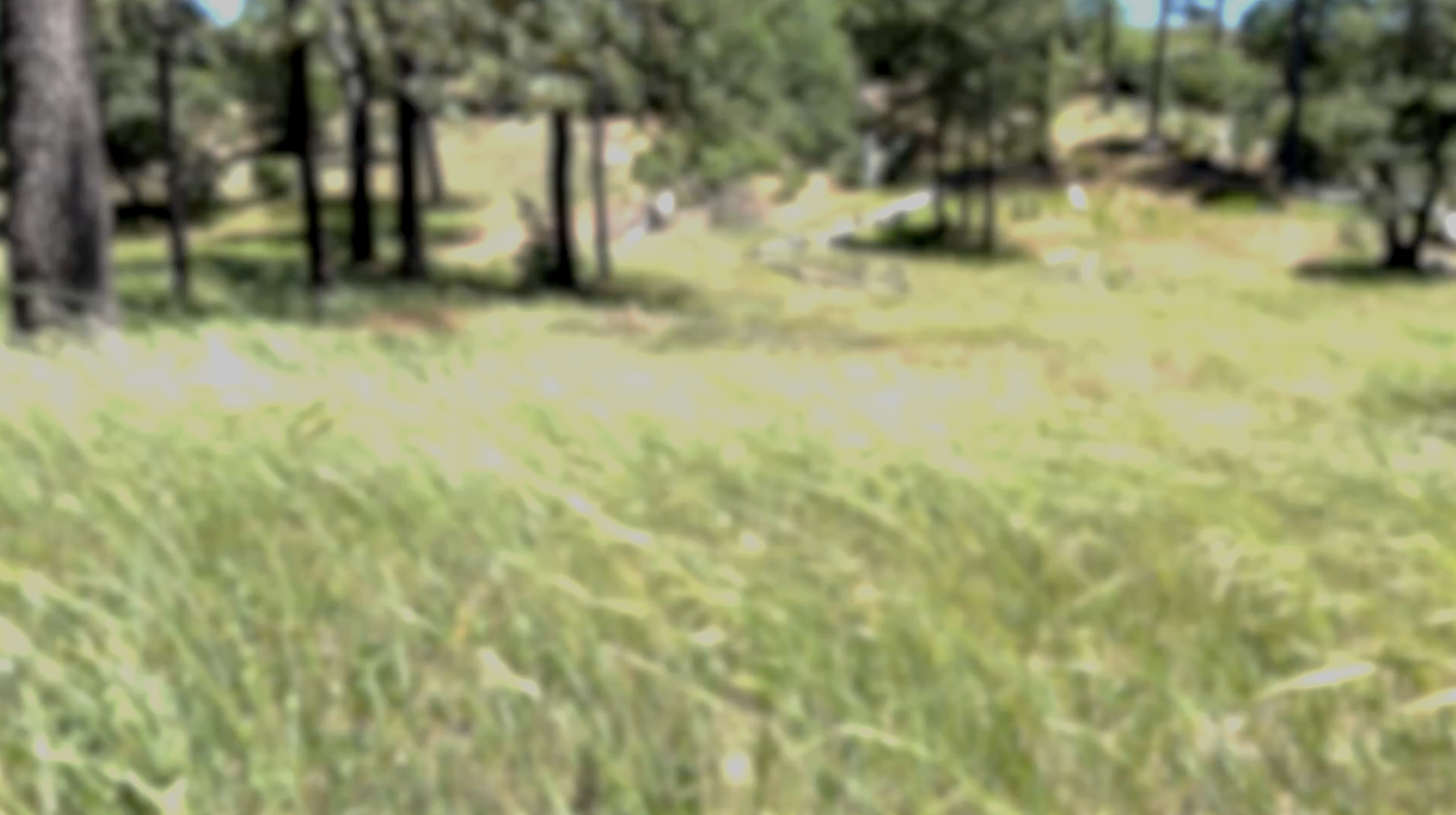 Screenshot 2026-02-08 at 4.53.58 PM.png