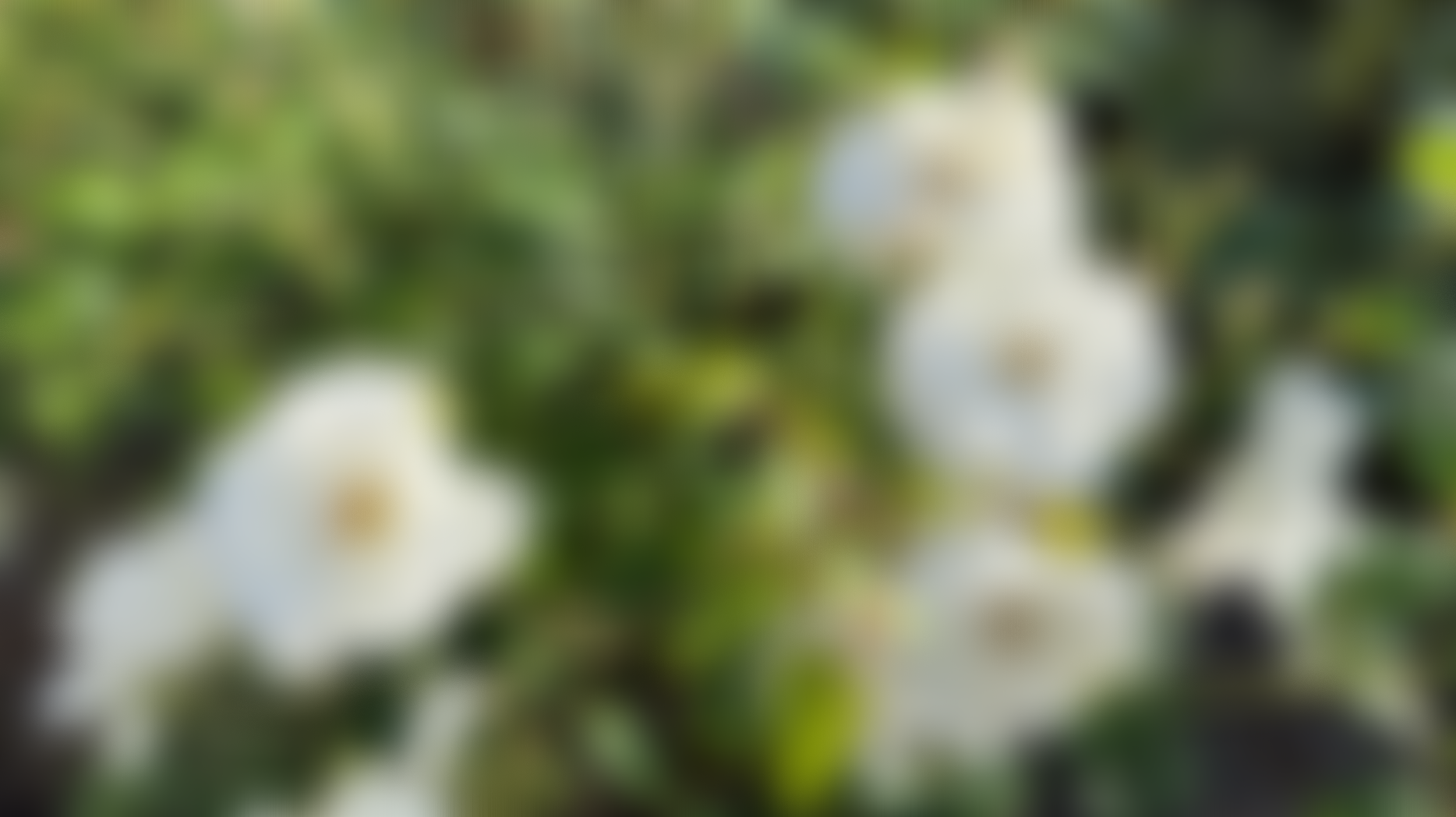 Screenshot 2026-04-29 at 11.06.27 PM.png