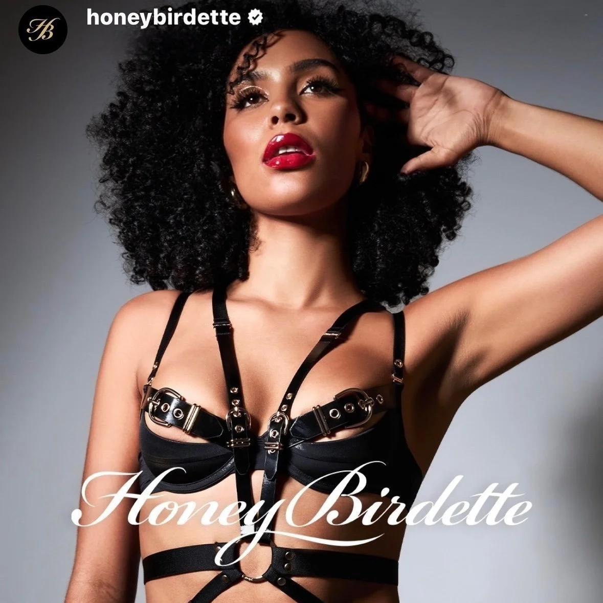 Commercial hair and makeup for honey birdette by hair and makeup artist Nikki Mahera 