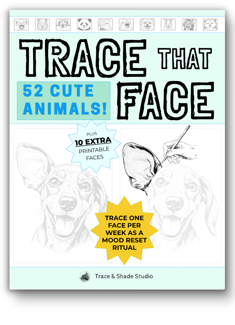 Available in Paperback, Beautiful Glossy  Hardcover  &  Kindle Scribe Editions