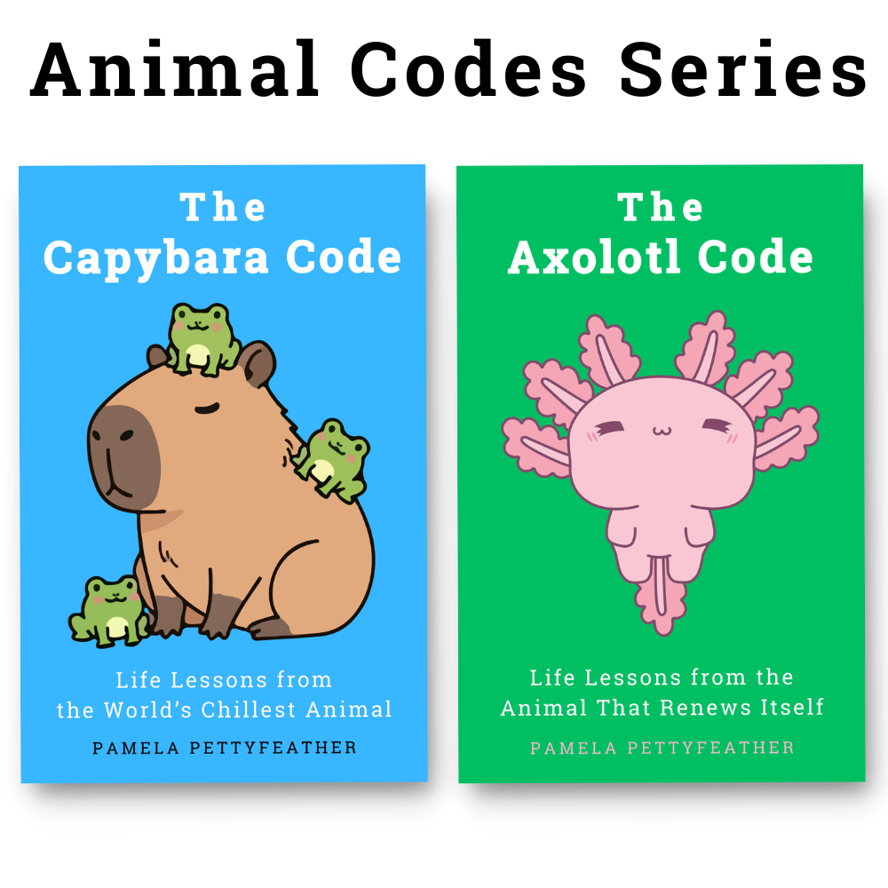 animal codes webpage promo.png