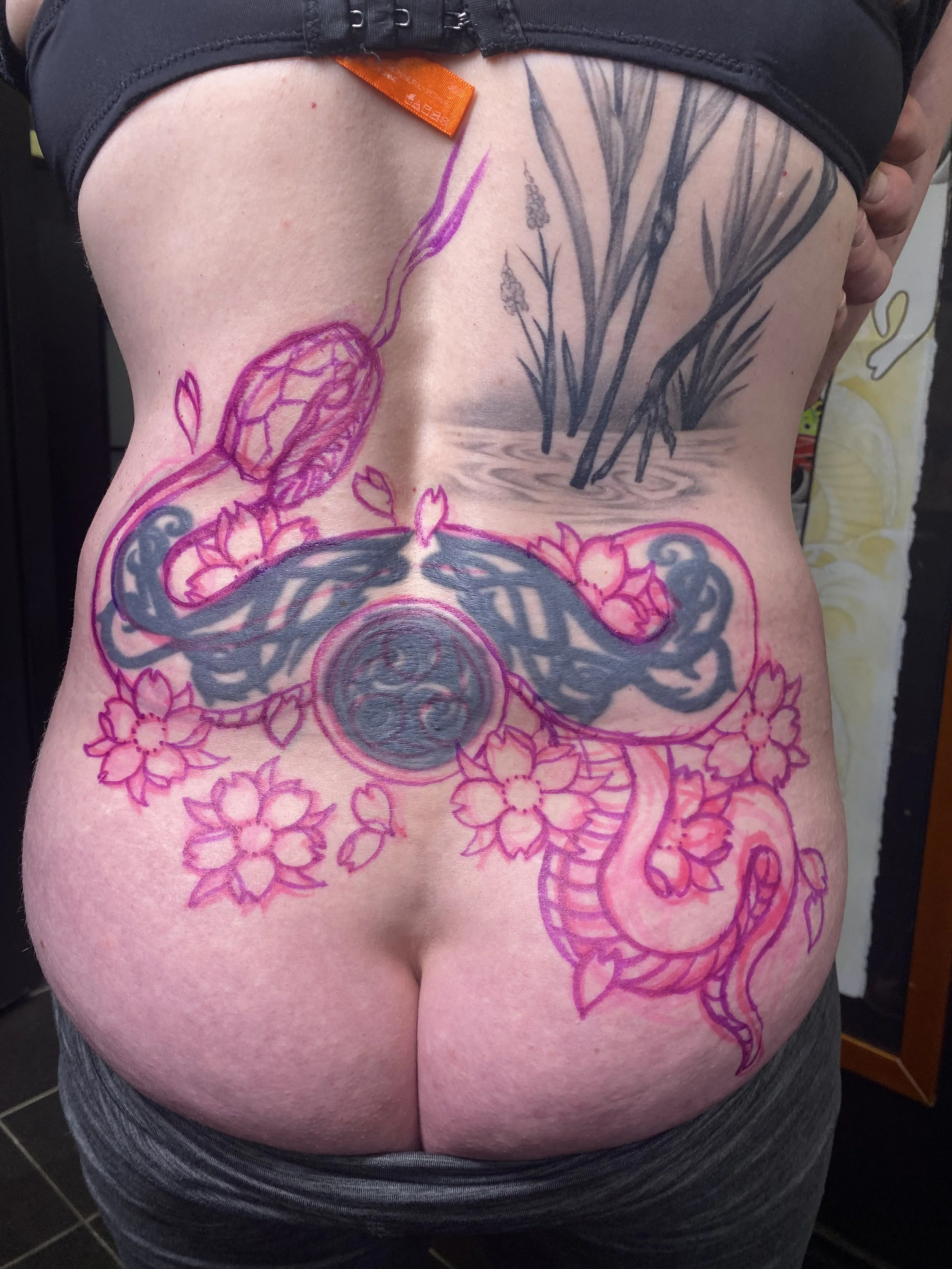 A person's lower back and buttocks with a tattoo in progress, including a pink outline of cherry blossoms and a snake, with some portions shaded in black and gray ink, and additional black ink on the upper back resembling reeds or grass.