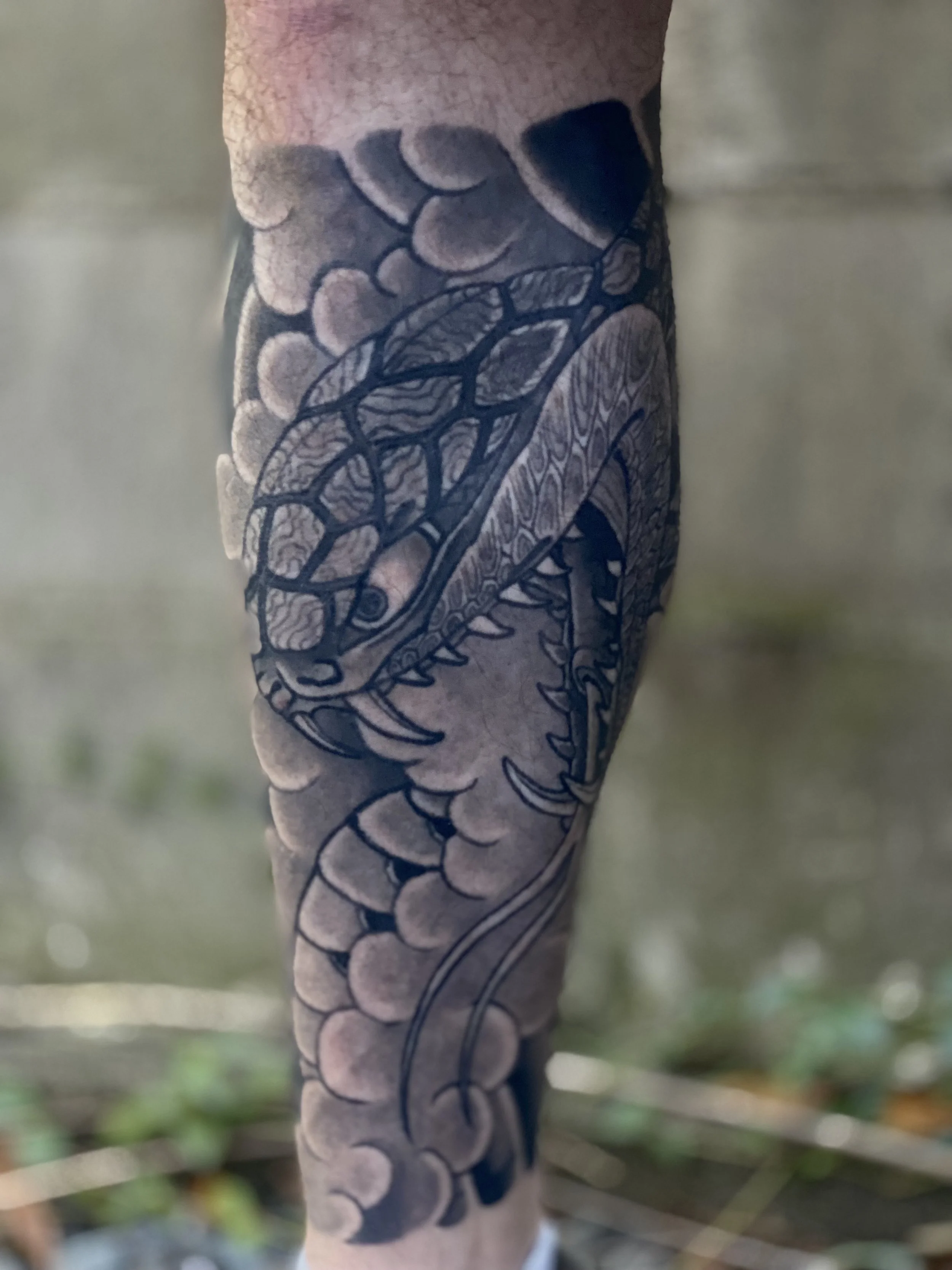 Close-up of a tattoo sleeve featuring a snake and decorative patterns on a person's arm.