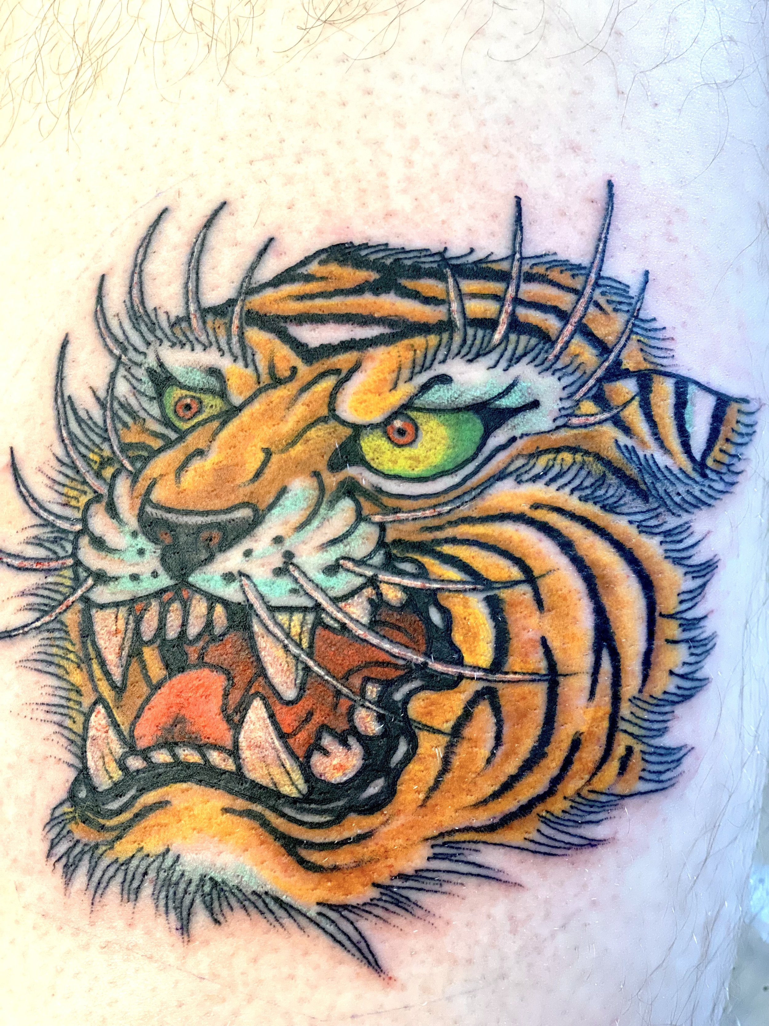 Colorful tattoo of a tiger's face on skin.