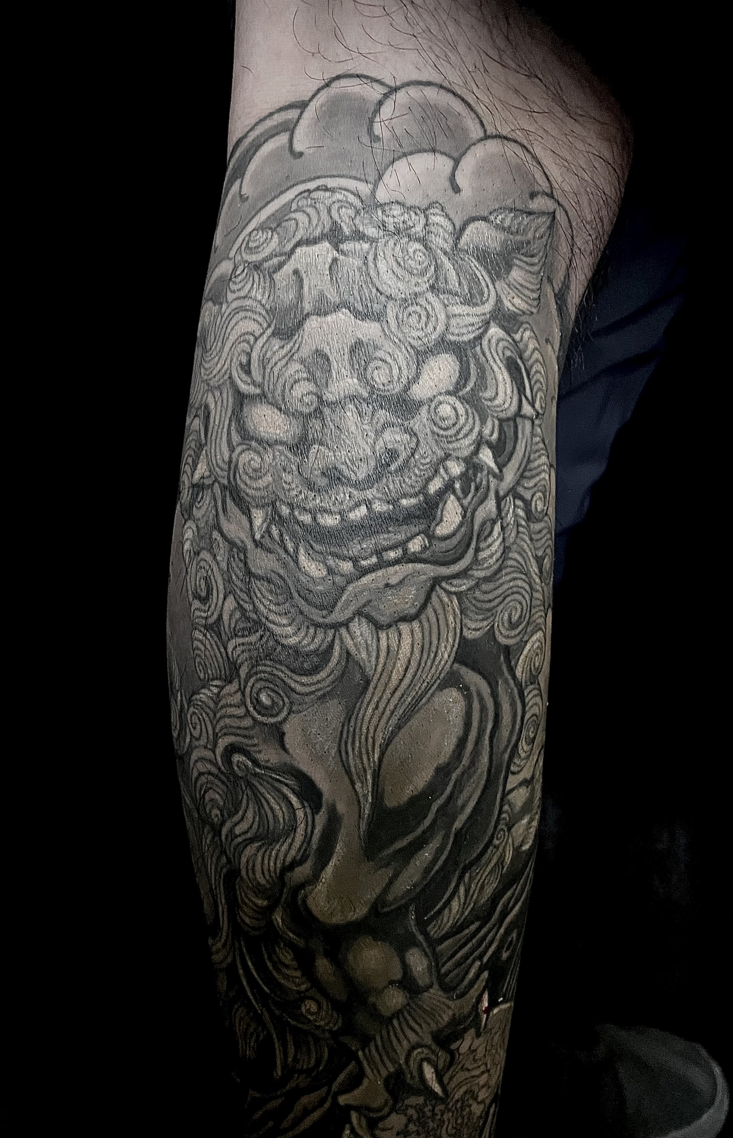 Black and gray tattoo of a traditional lion head with flowing mane on a person's arm.