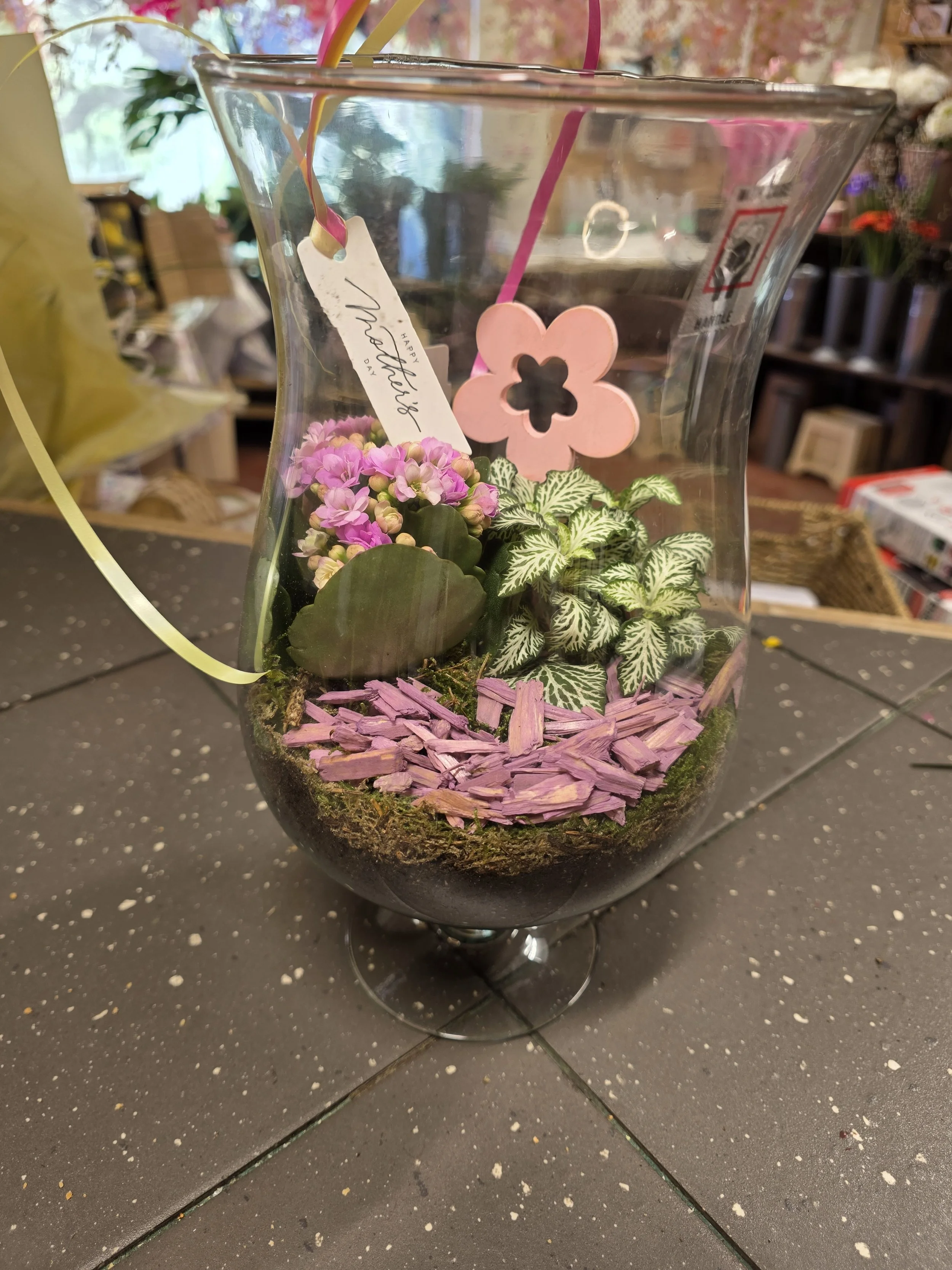 Glass Vase Terrarium