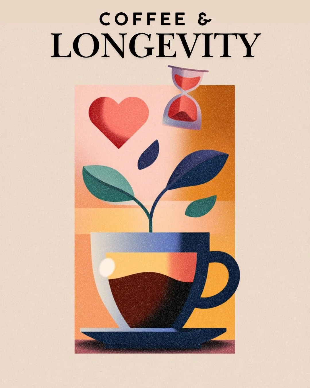 Here&rsquo;s some good news for your daily brew: large-scale studies show that moderate coffee drinkers tend to live longer and have a lower risk of conditions like type 2 diabetes, Parkinson&rsquo;s, and certain heart diseases. Coffee isn&rsquo;t a 