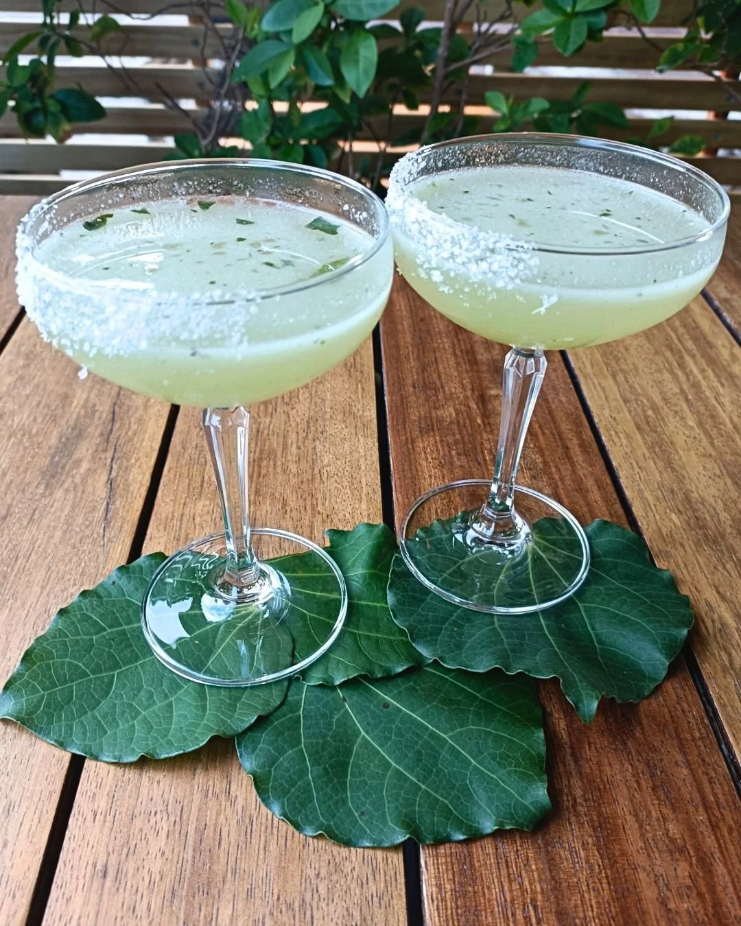 New on the cocktail list
.. Kawakawa Margarita ..
Blanco tequila, Cointreau, house kawakawa syrup, fresh lime juice.
We tried it once and knew straight away. The peppery, earthy warmth of kawakawa finds its place in a margarita; it balances the citru