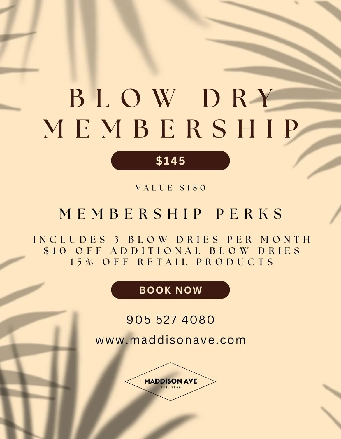 New Membership Alert!
Starting today, August 1st, our Blow Dry Membership is officially live! Get 3 blowouts for $145/month - that&rsquo;s $45 in savings! Enjoy member exclusive additional perks, such as $10 off any additional blow dry for the month 
