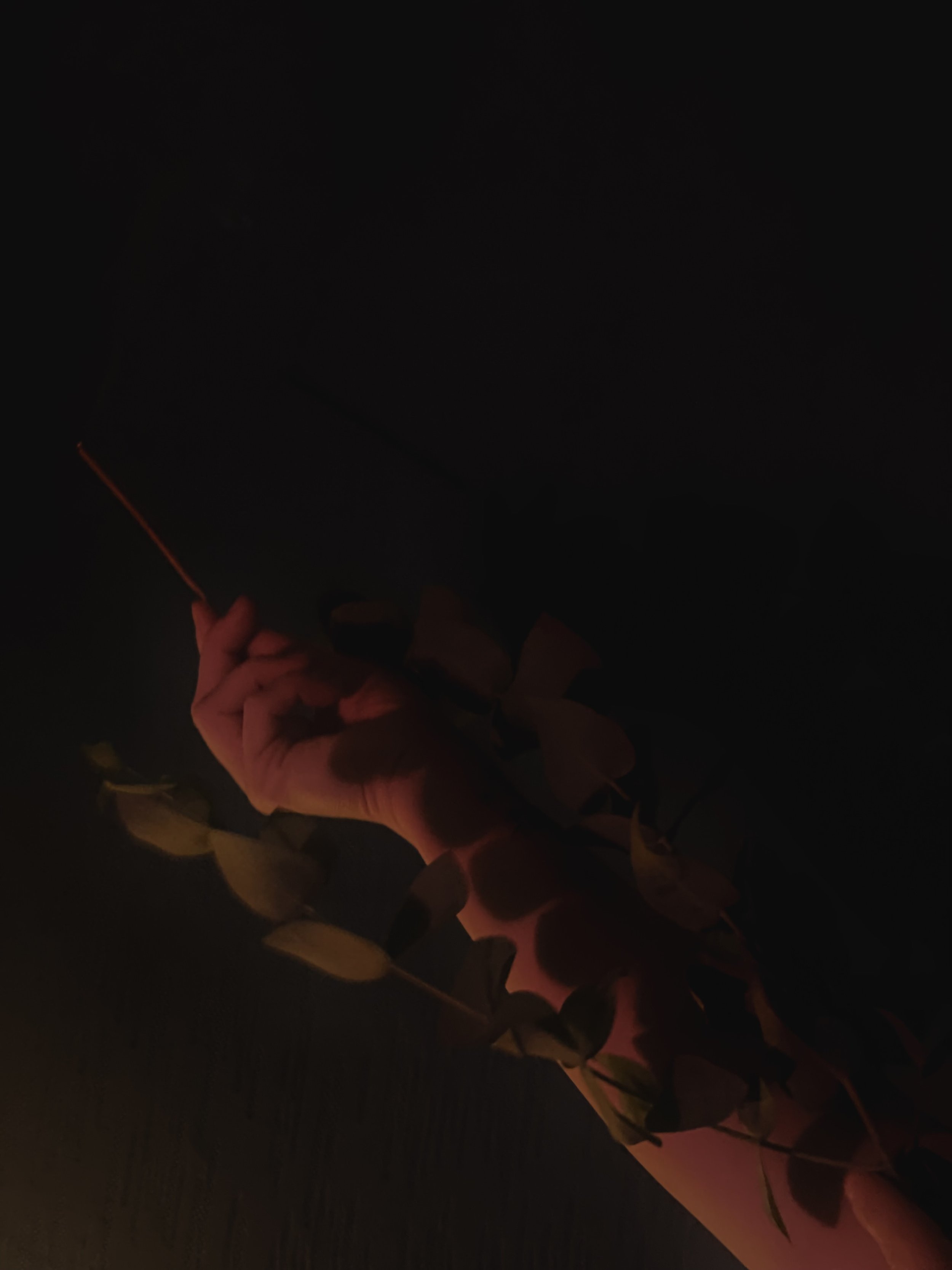 The Path of Submission