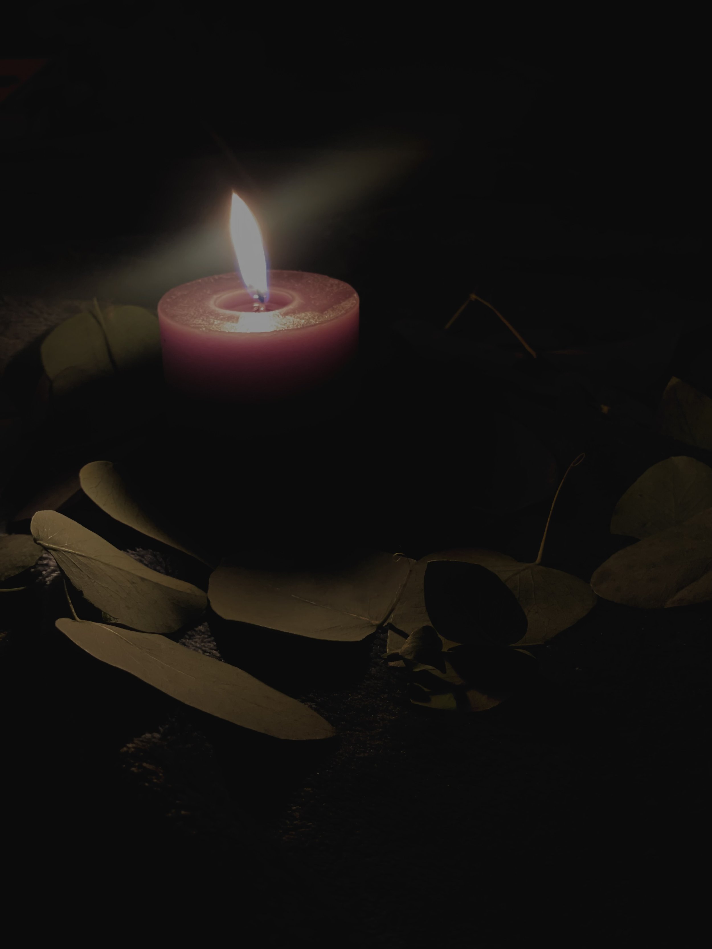 The Digital Devotion Journal