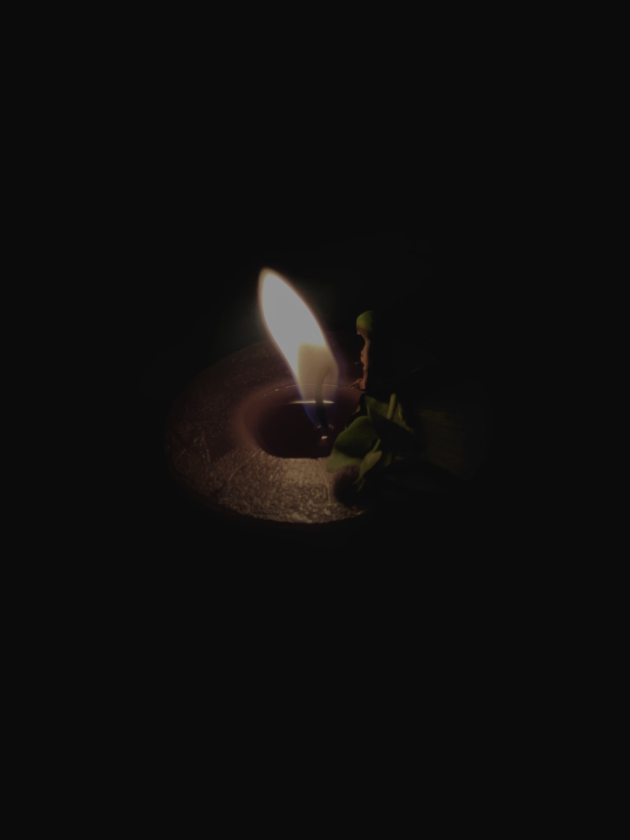 Virtual Indulgence Tribute