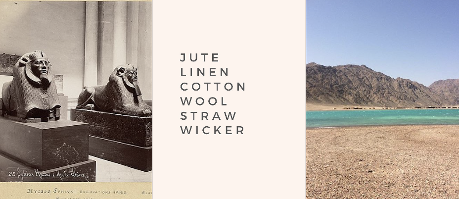 Screen Shot 2026-01-12 at 9.48.55 PM.png