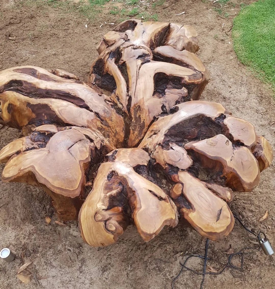 This is a 3-metre wide tree stump, brought back to life by the artisan hands at Rocchi. A raw, natural form made functional &mdash; and beautiful.

We love finding creative ways to repurpose materials that would otherwise go to waste. When you build 