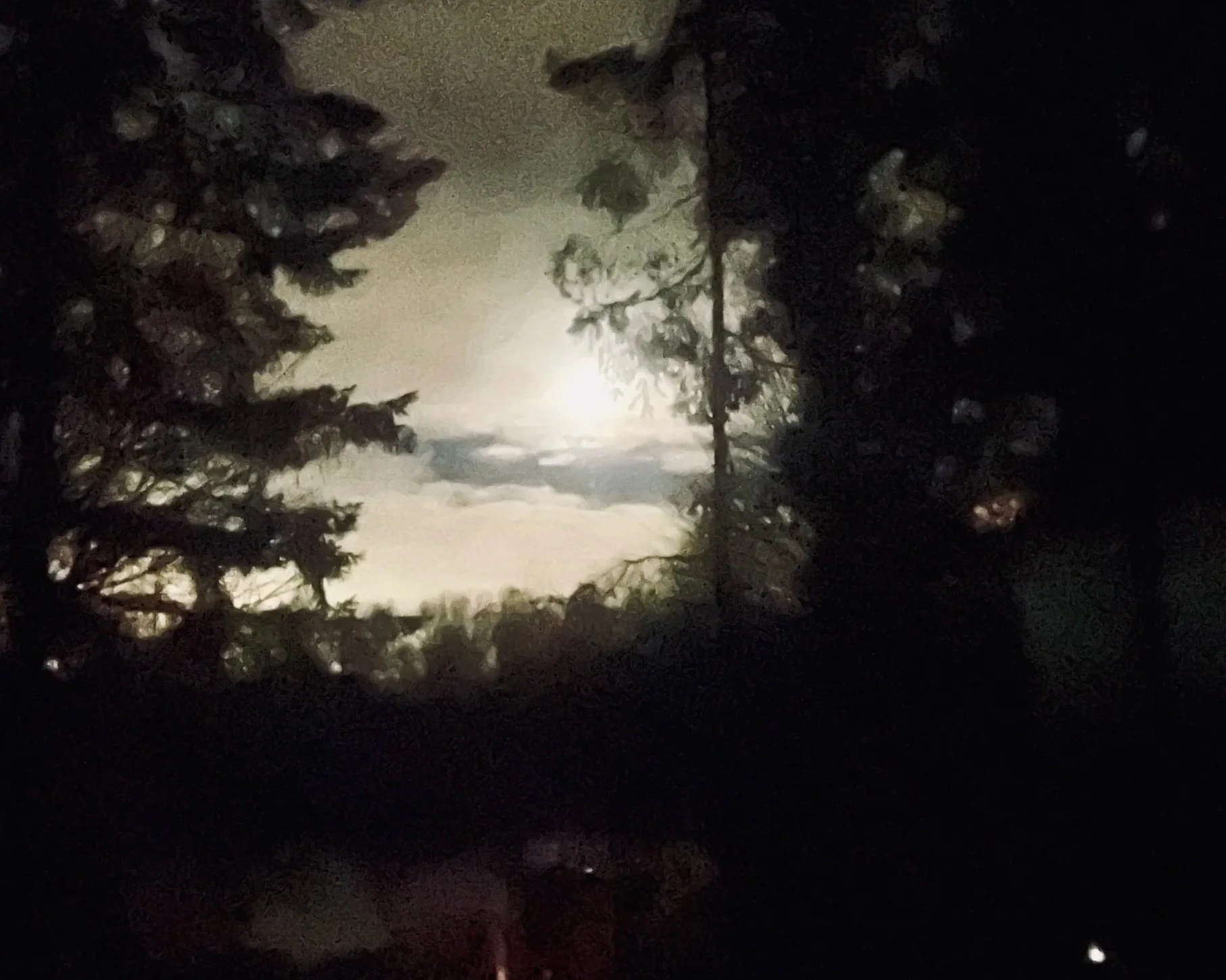 The Moon