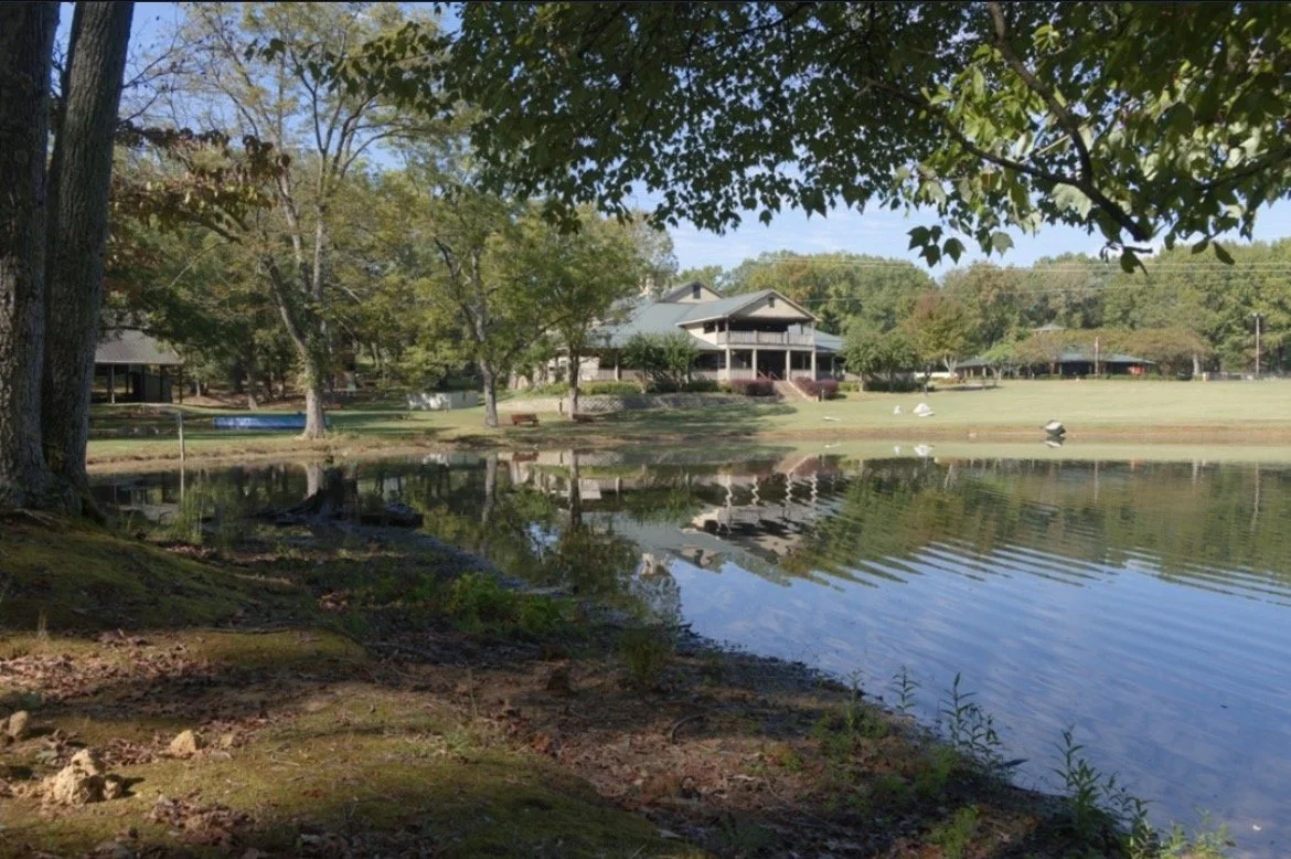 A lakeside park with trees, a house, and ducks on the water, with reflections visible on the lake.