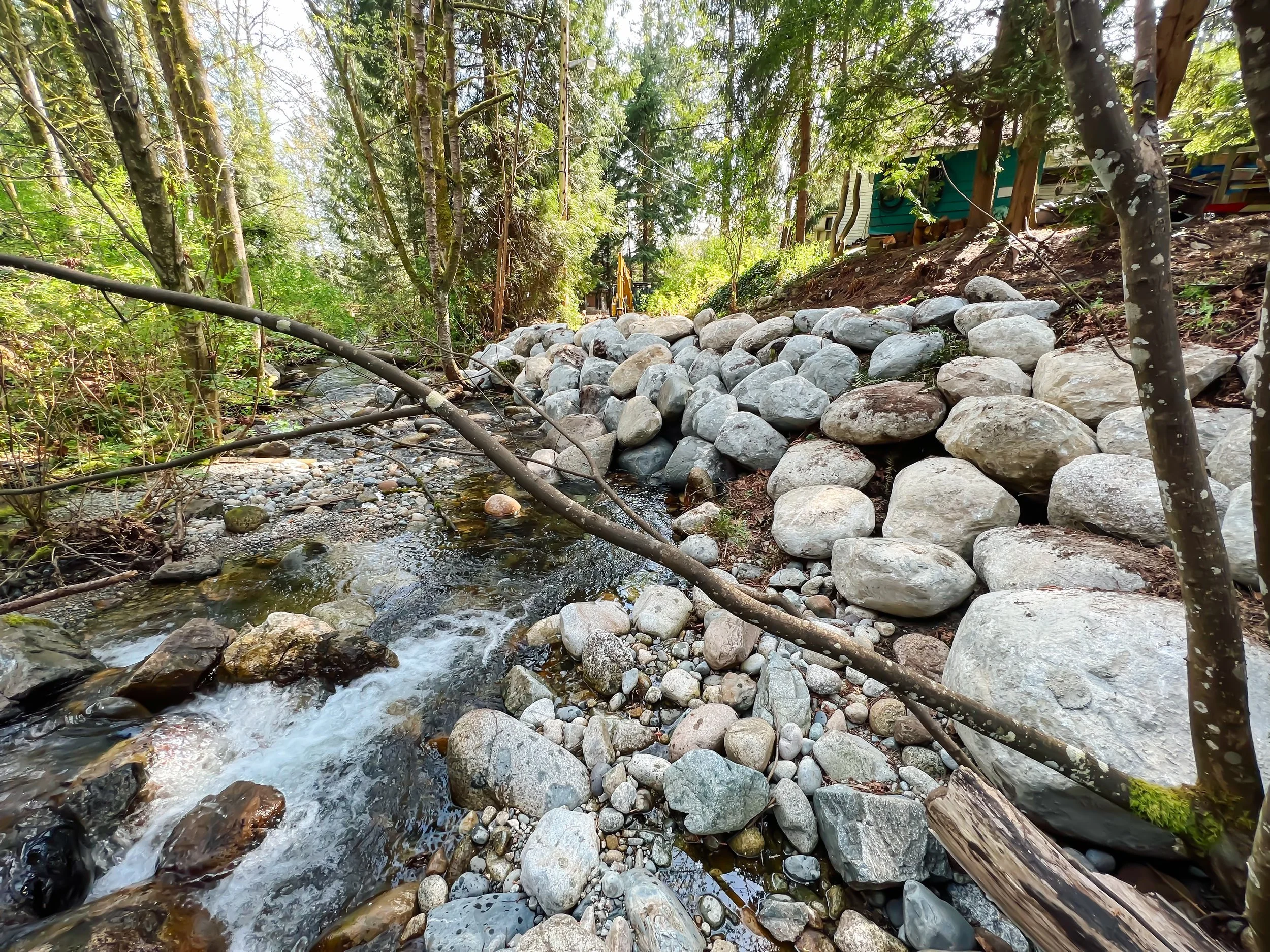 Stream flowing through a forest with rocky embankment and trees