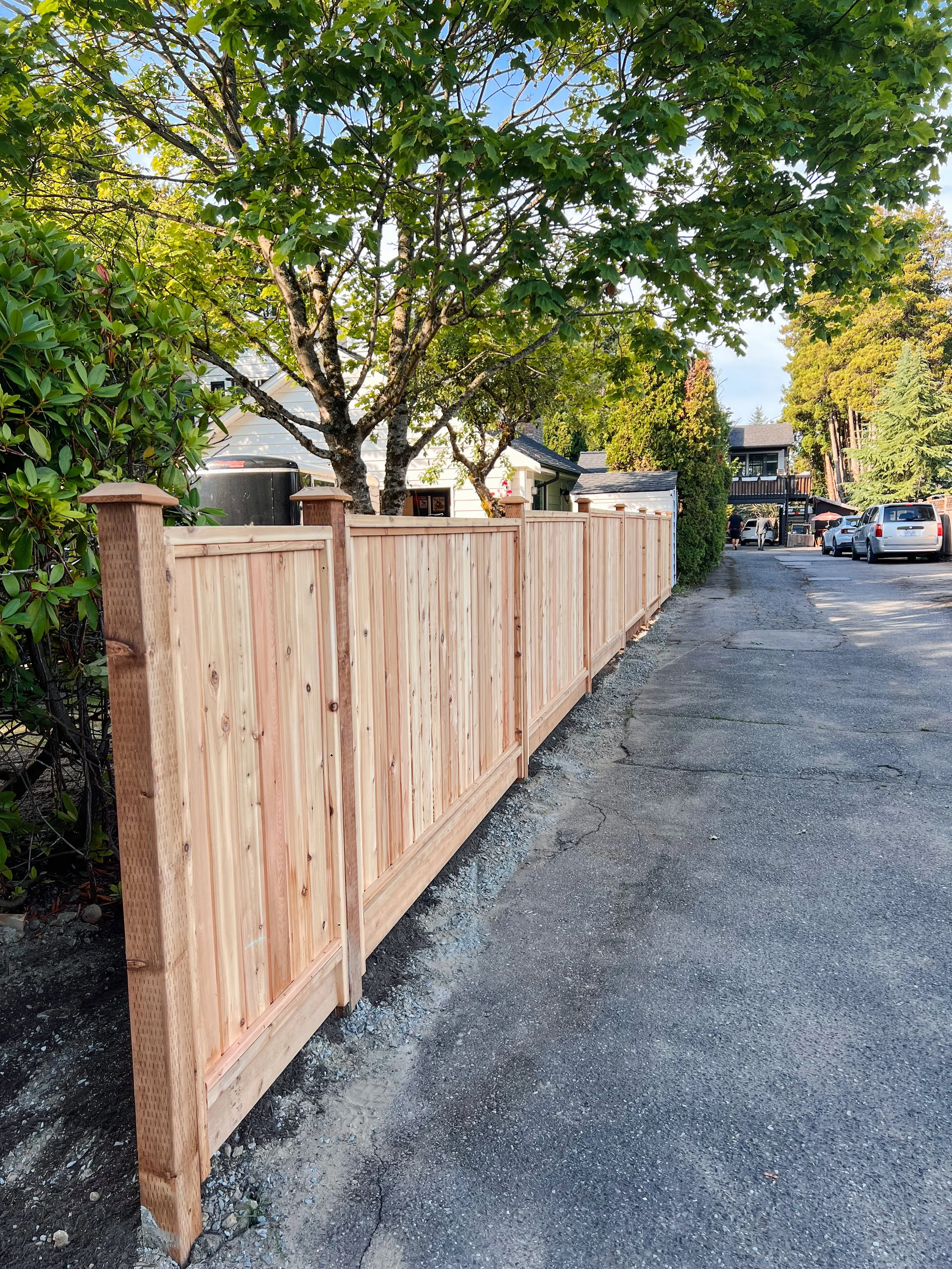 Wooden fence along a street with trees and parked cars