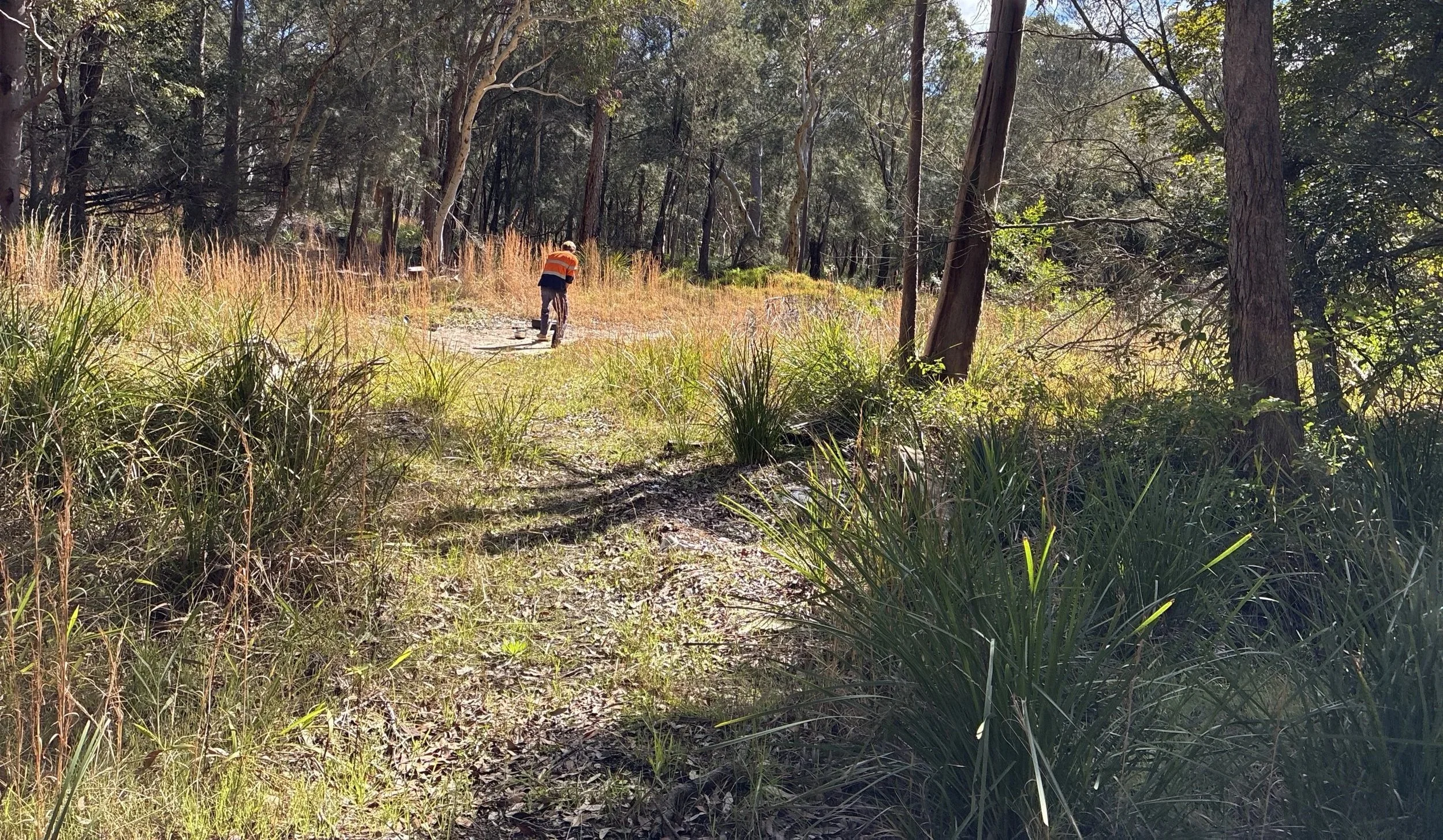 Lake Munmorah — Preliminary Site Investigation &amp; Acid Sulfate Soil Assessment