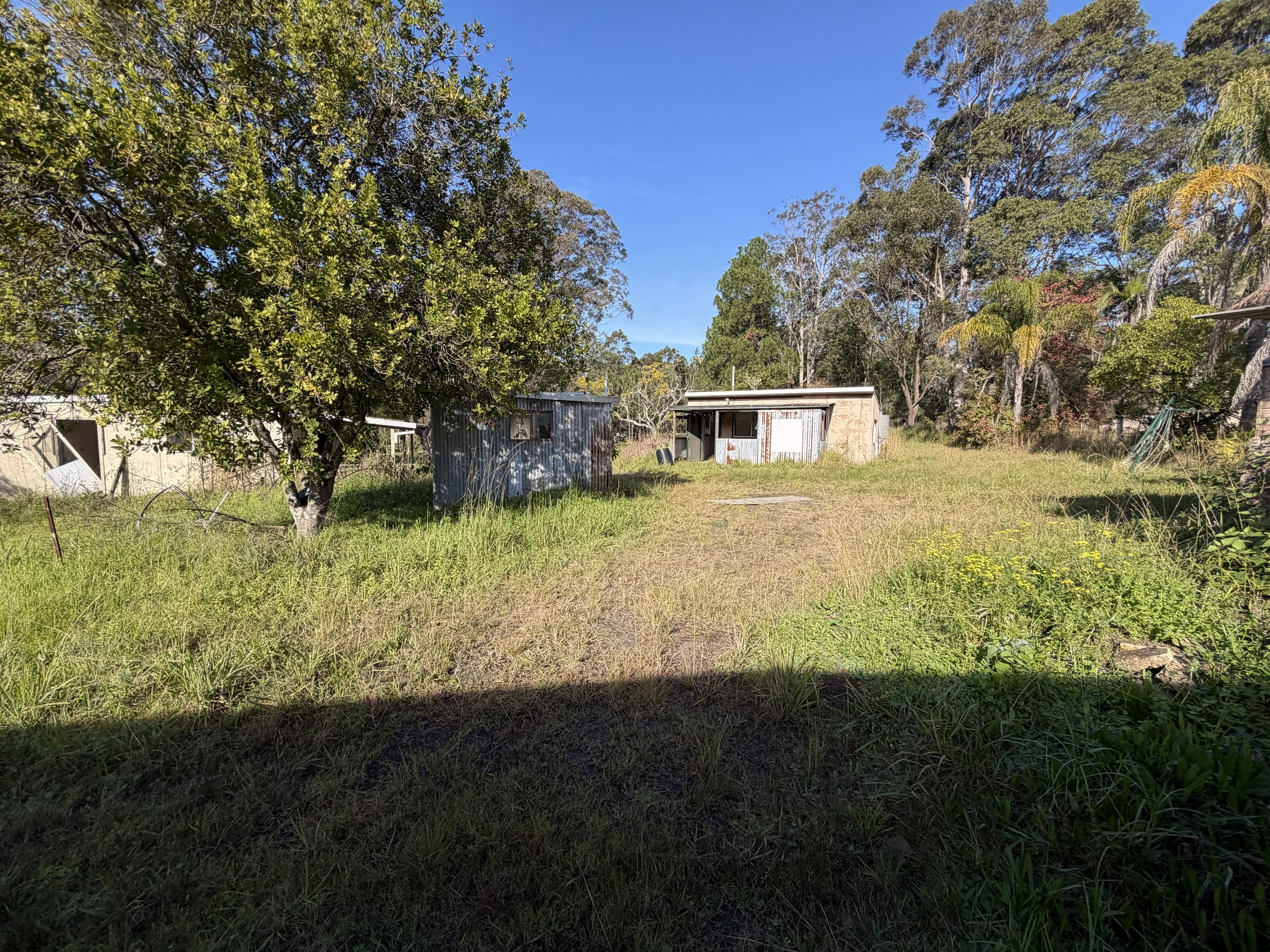 Overgrown rural property with older buildings assessed during a hazardous materials survey in Halloran, NSW.