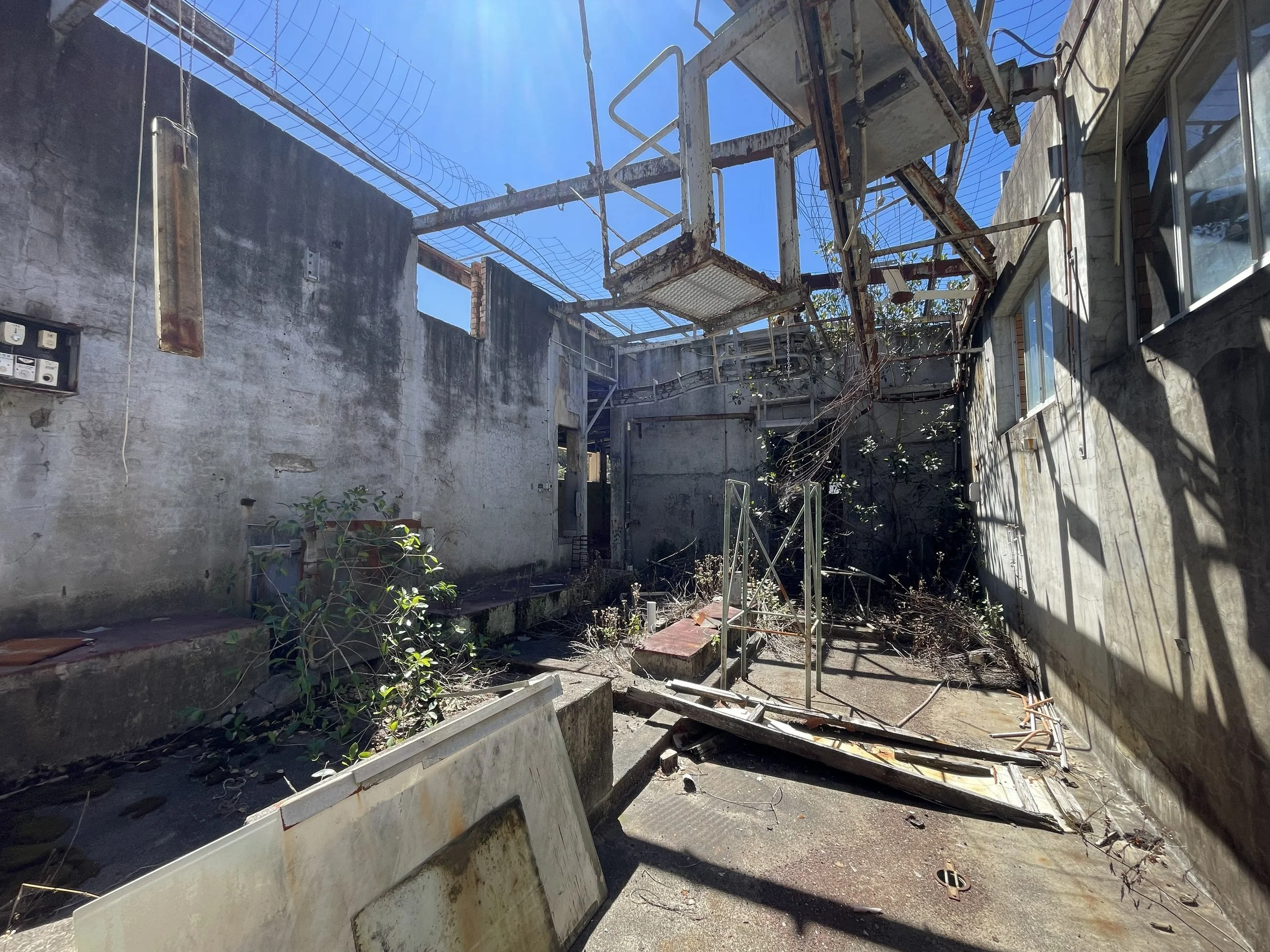 Interior of a former abattoir building in Woy Woy assessed during a pre-demolition hazardous materials survey.