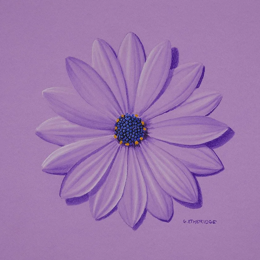 Purple and Blue Daisy