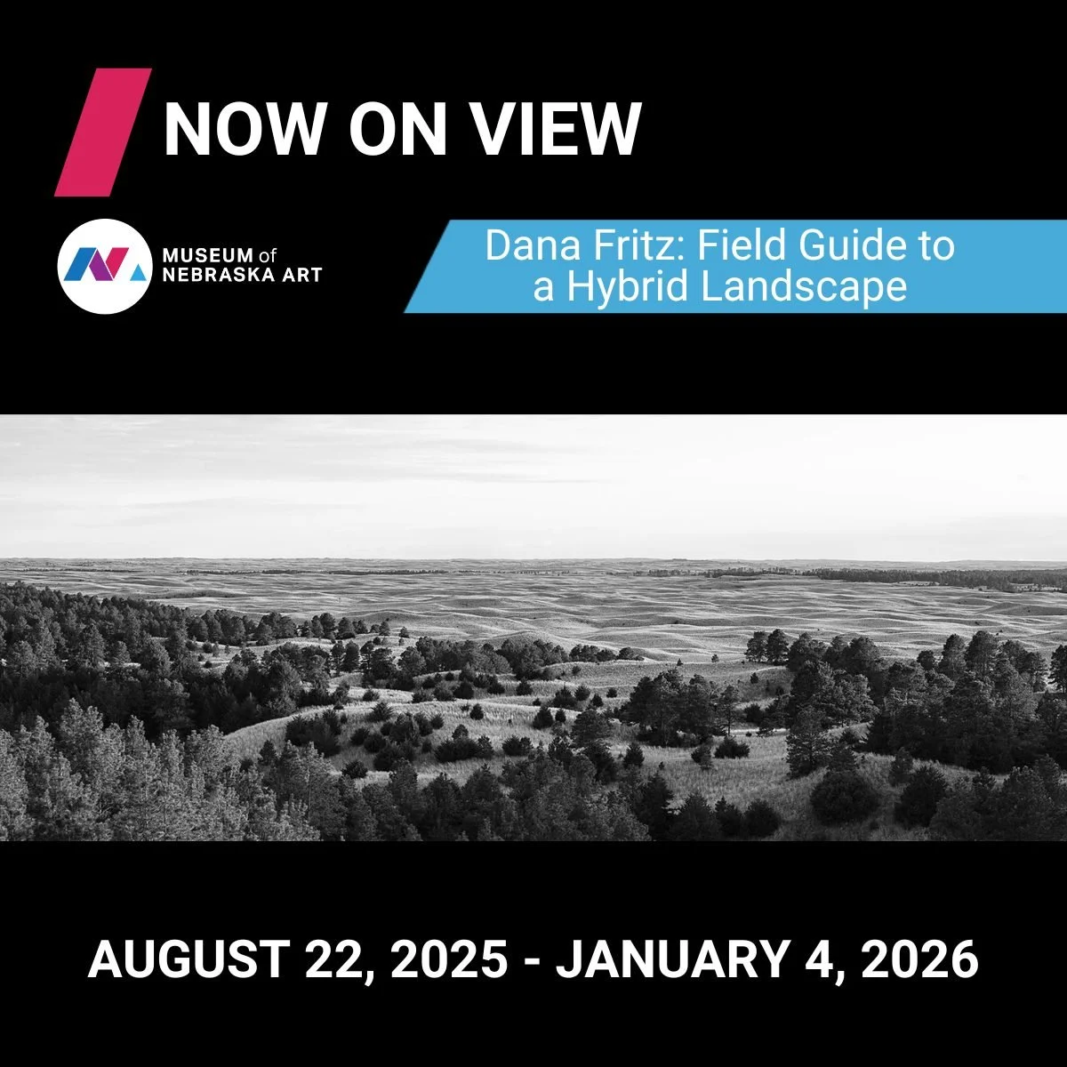 DANA FRITZ: FIELD GUIDE TO A HYBRID LANDSCAPE