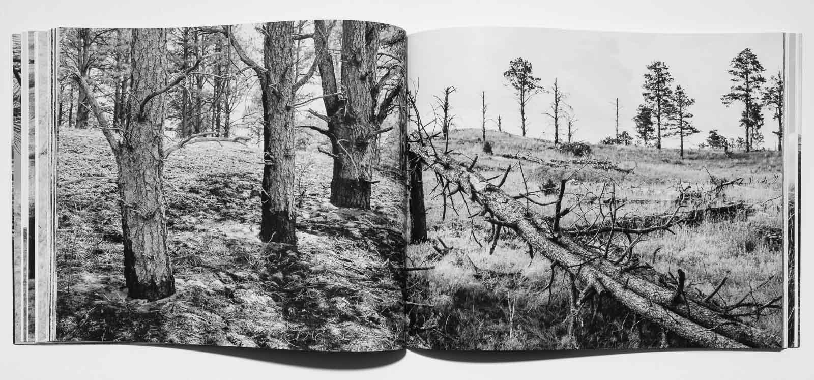 Dana Fritz - Book - Field Guide to a Hybrid Landscape-6