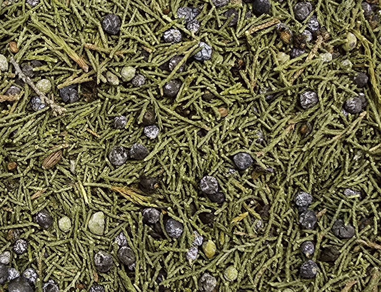 Wild crafted Dried Juniper berries and leaves