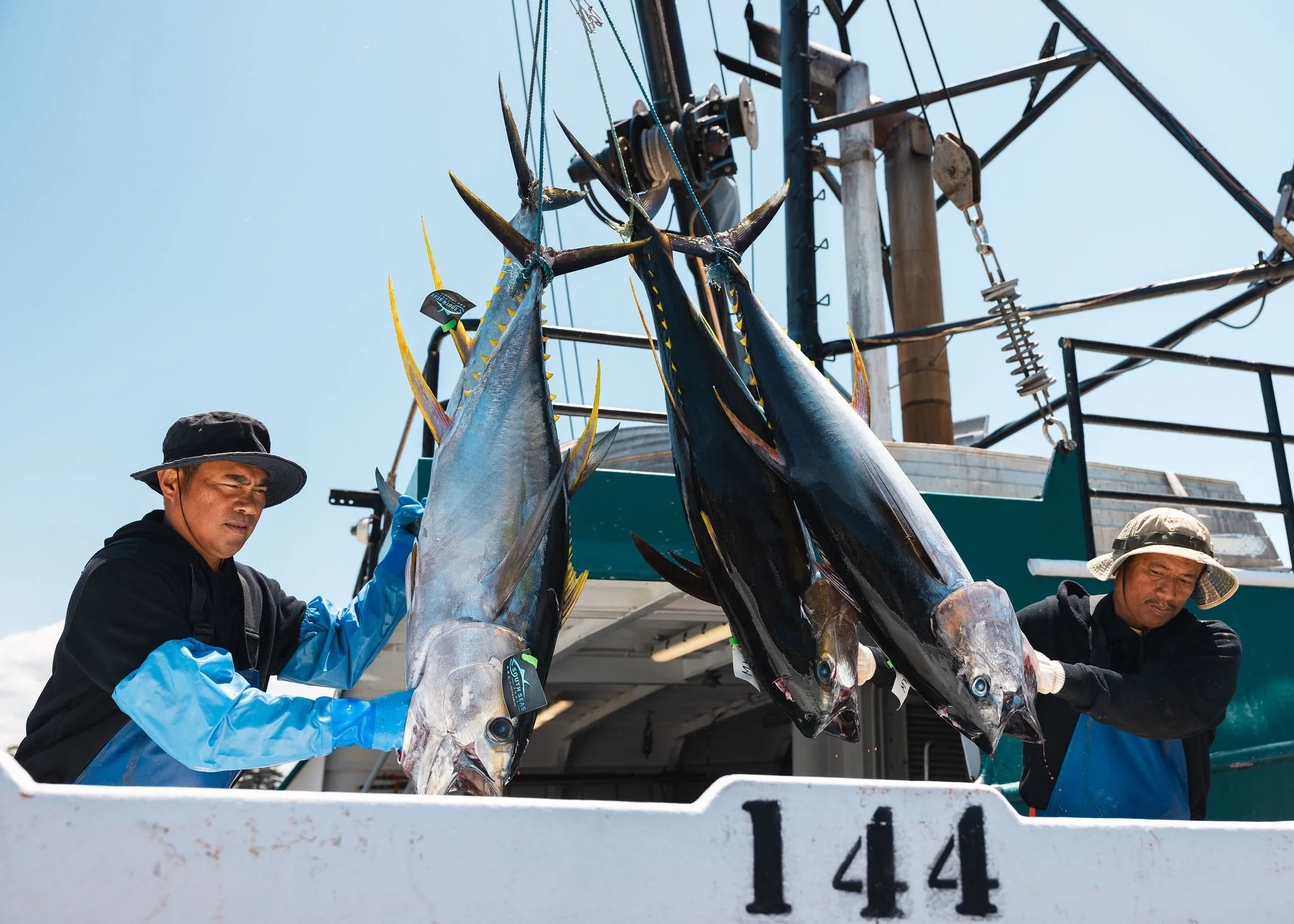 The team on South Seas 1 unloading catch