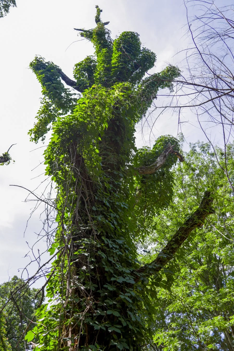 20260613-2S3A2135-HDR.jpg