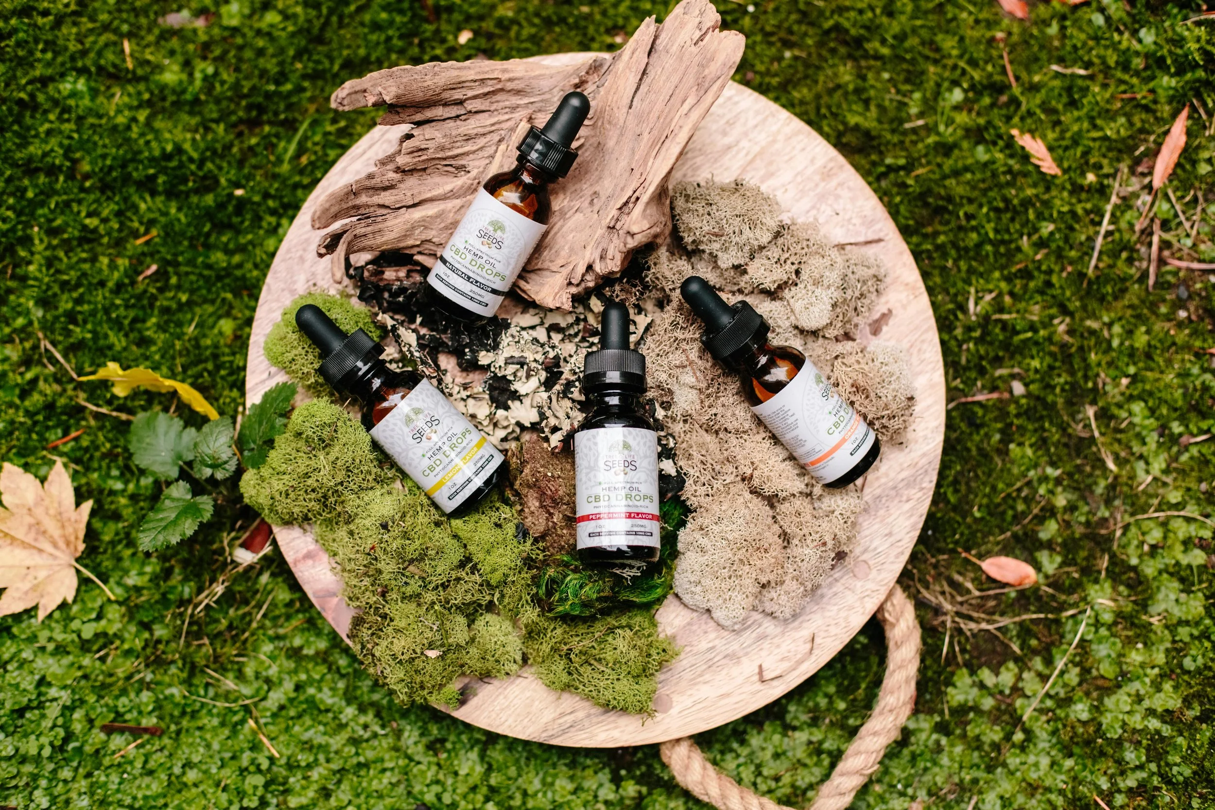 Four bottles of CBD oil on a wooden platter with moss and leaves, set on green grass.