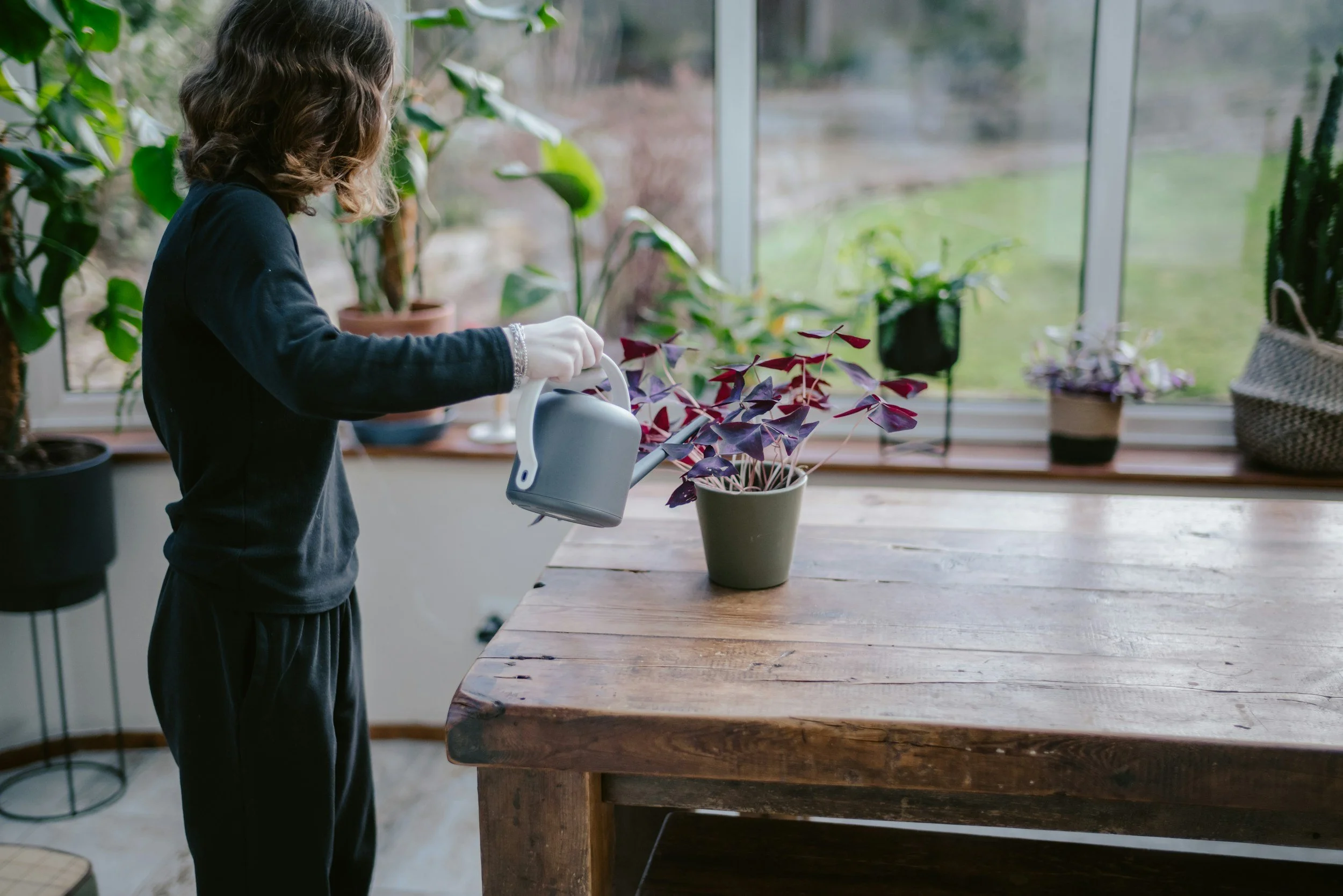 A woman with wavy hair watering a potted plant on a wooden table indoors near a large window with multiple potted plants in the background.