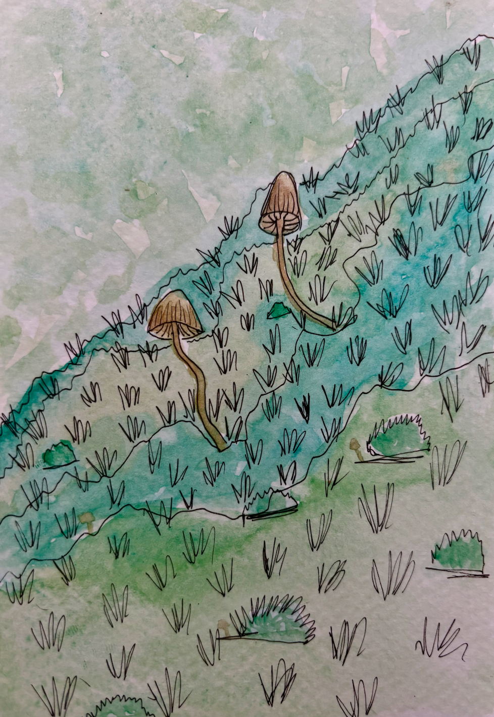 Long Trail Watercolor Print: Day 19