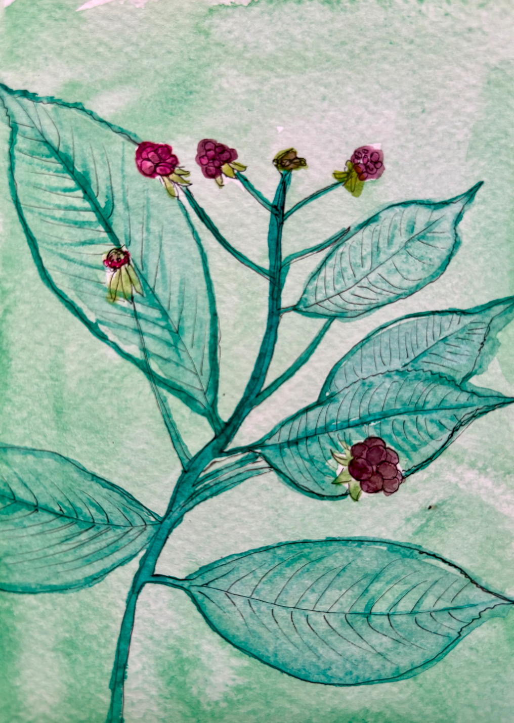 Long Trail Watercolor Print: Day 25