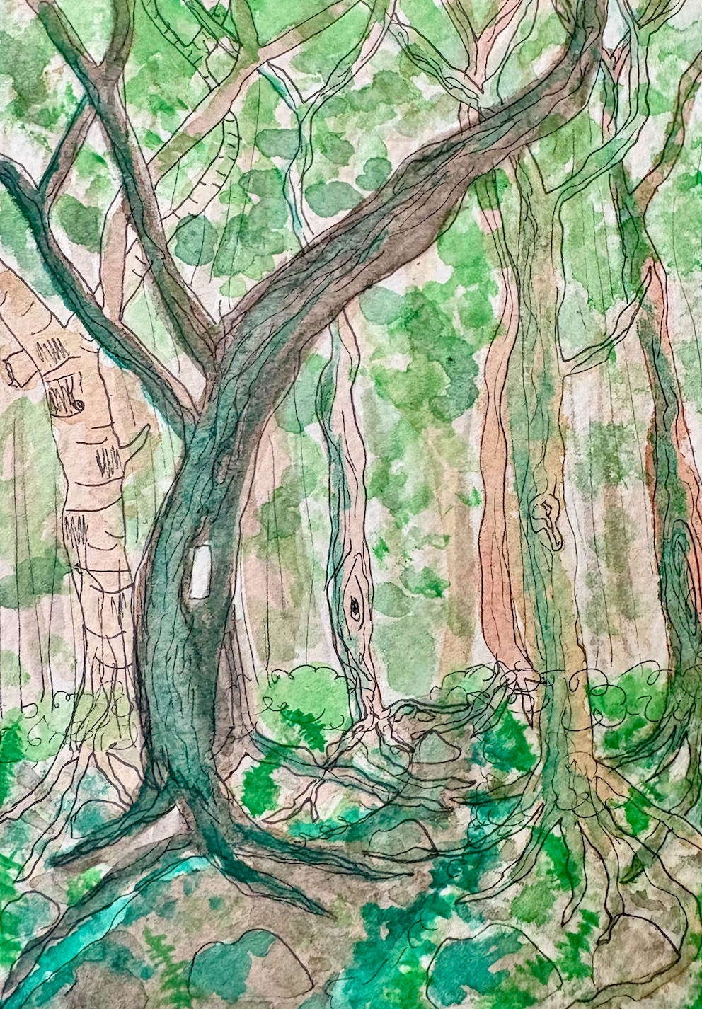 Long Trail Watercolor Print: Day 12