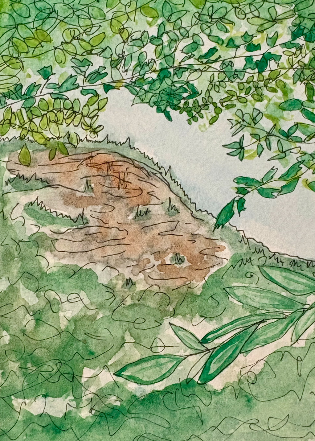 Long Trail Watercolor Print: Day 14