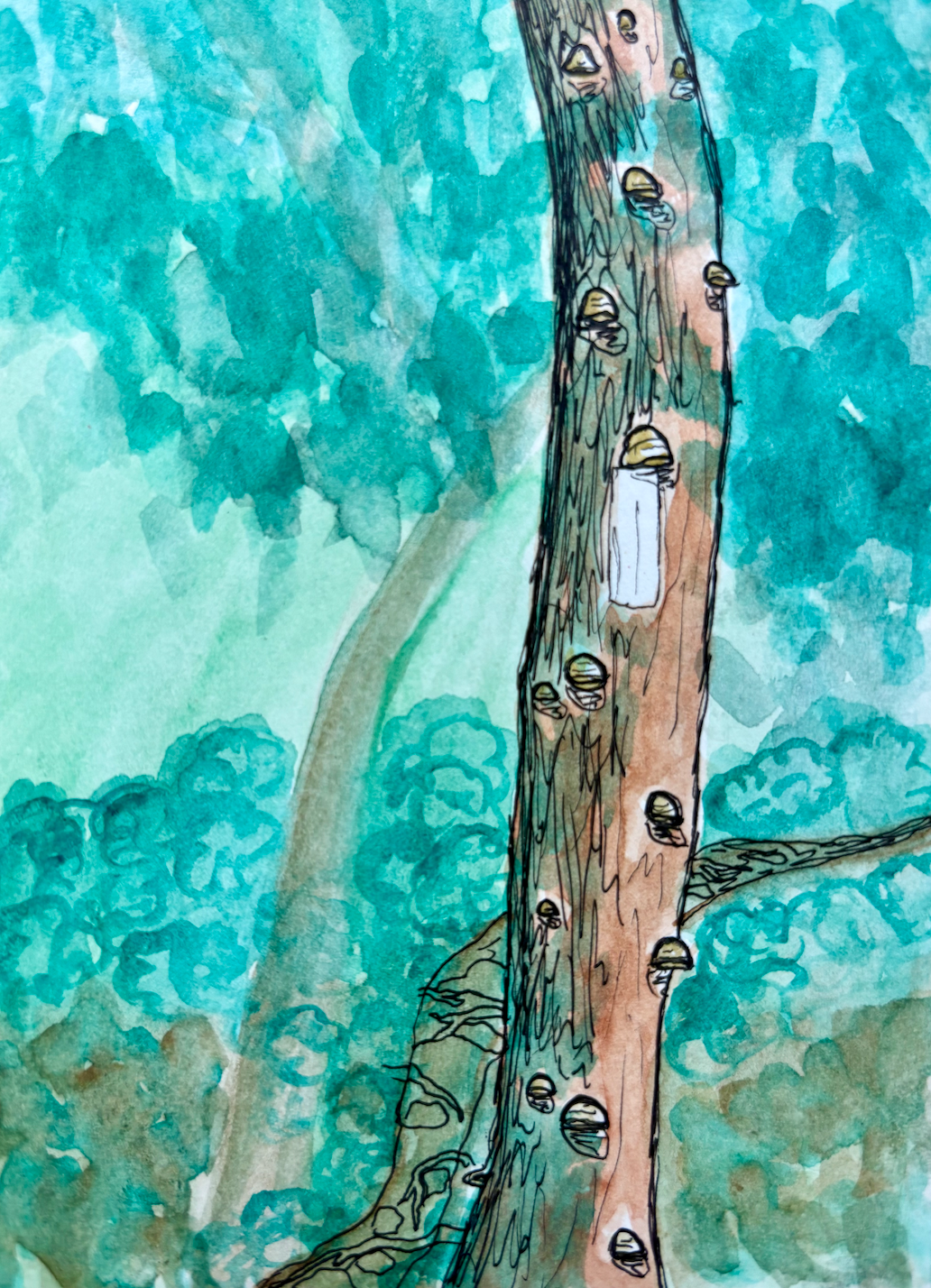 Long Trail Watercolor Print: Day 29