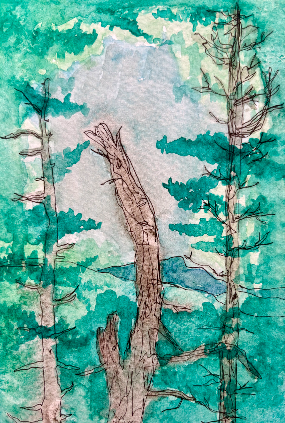 Long Trail Watercolor Print: Day 23